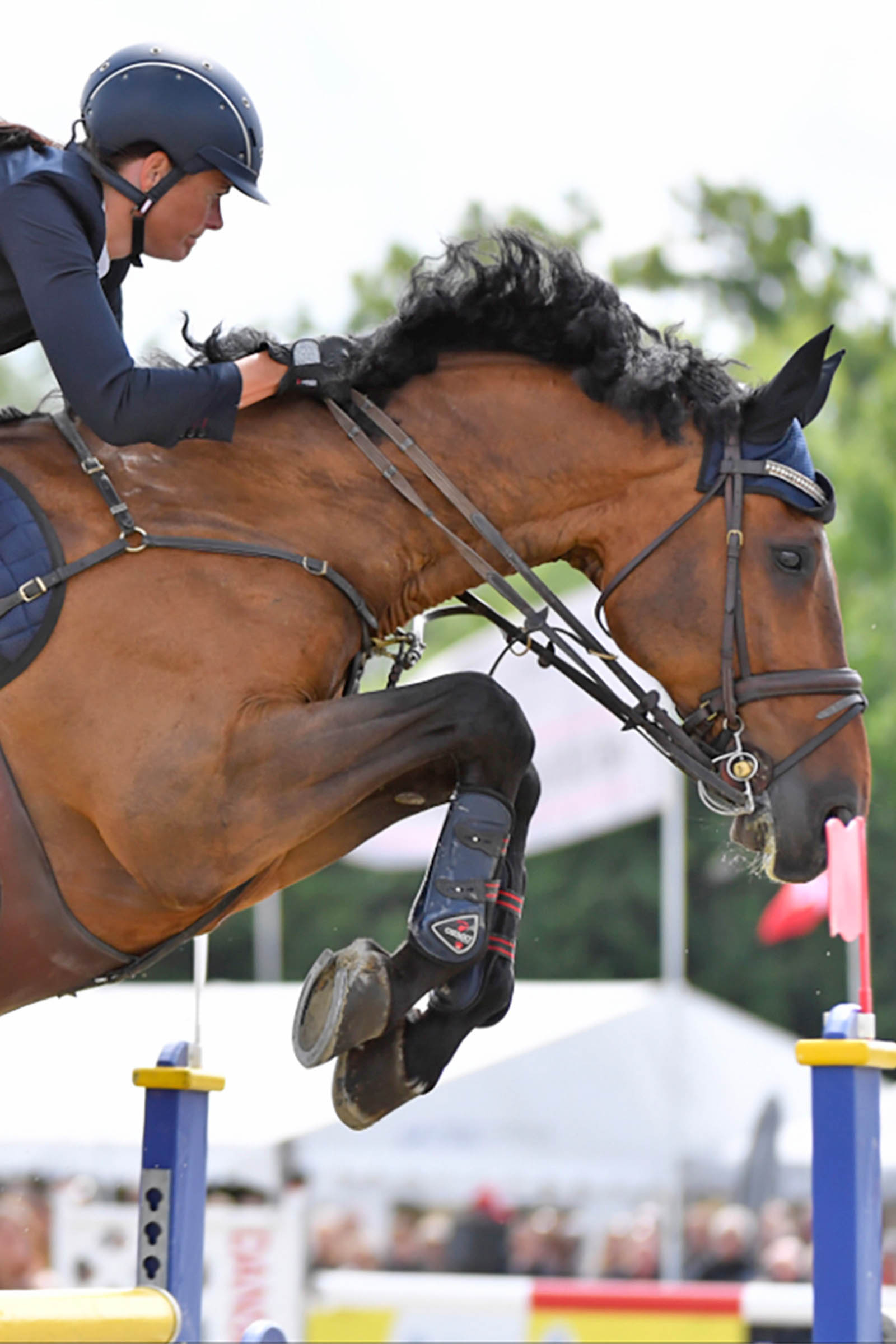 Guêtres protège-tendons Catago FIR-Tech