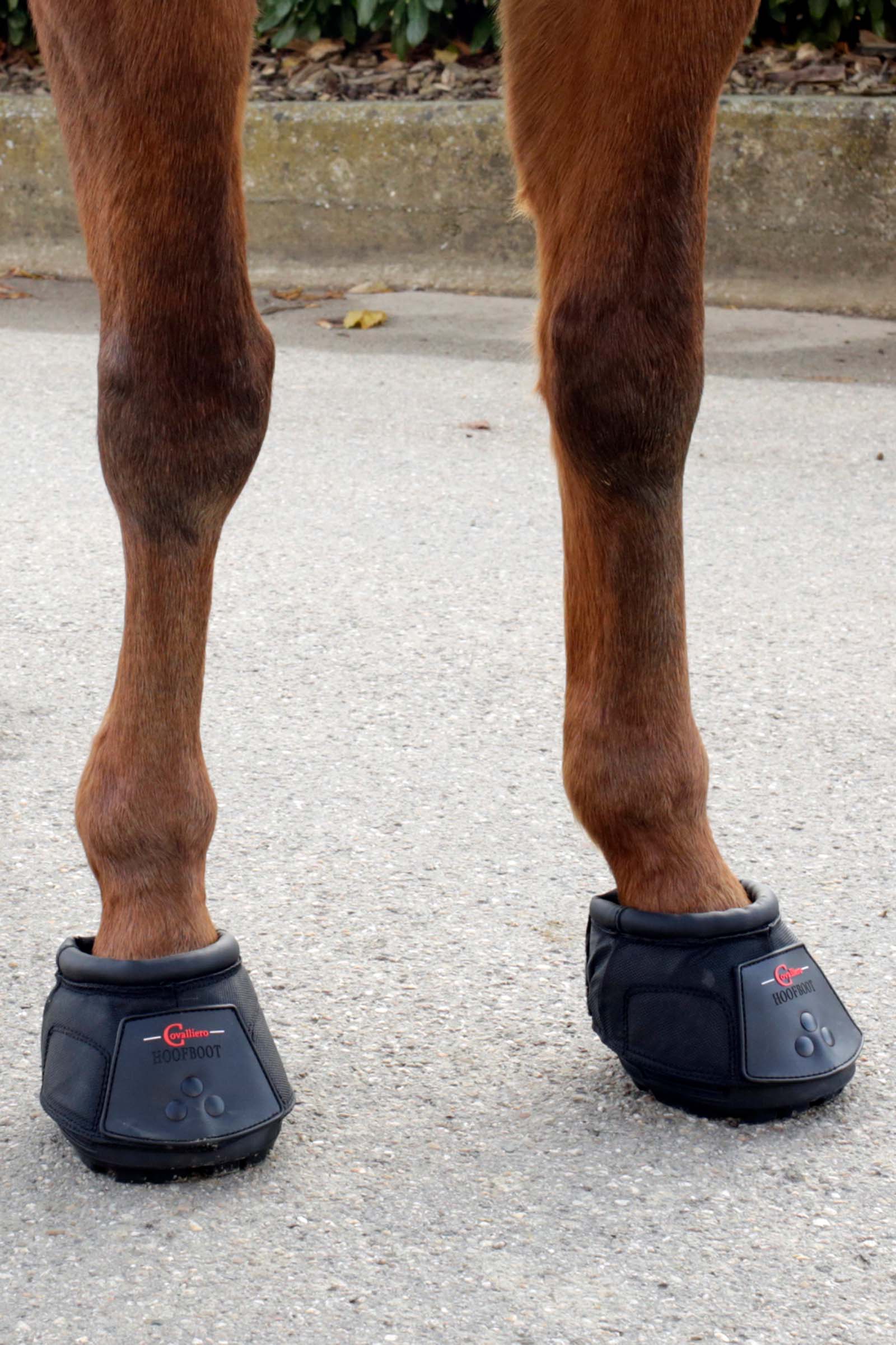 Covalliero sandale pour chevaux (1 pièce)