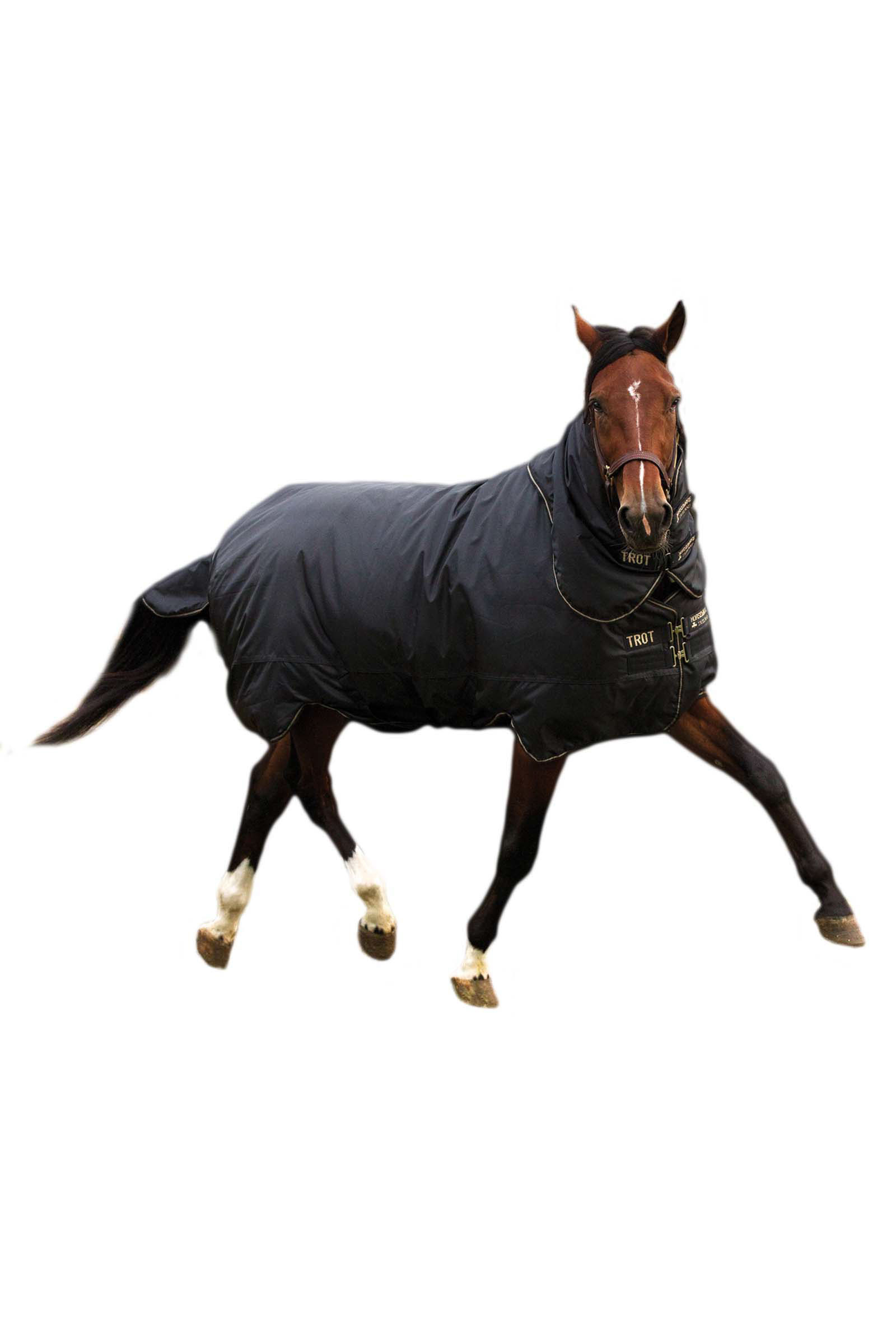 Horseware Trot Plus Couverture d'extérieur avec couvre-cou amovible, 350g