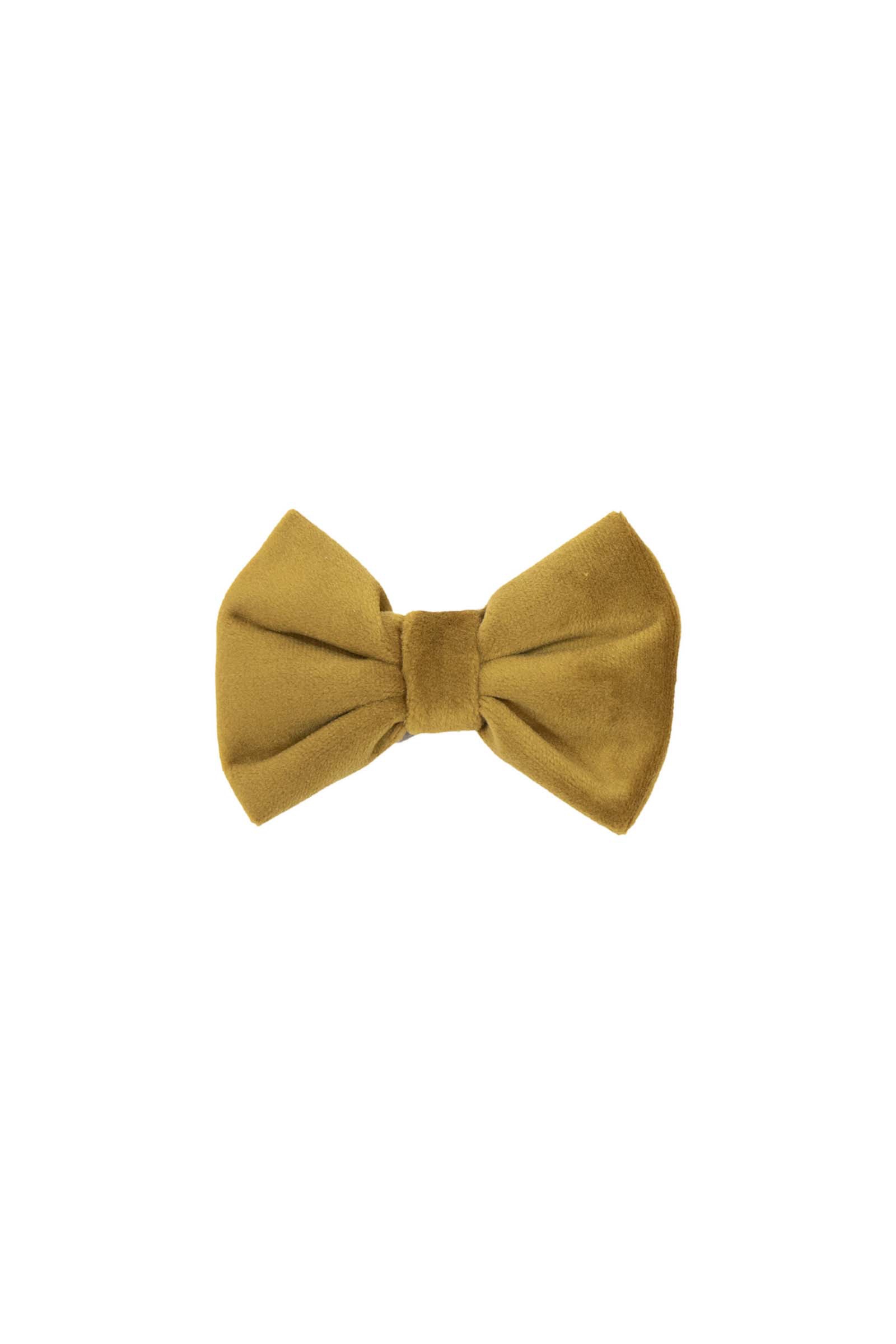 Mustard Gold Kentucky Dogwear  Nœud papillon Velvet