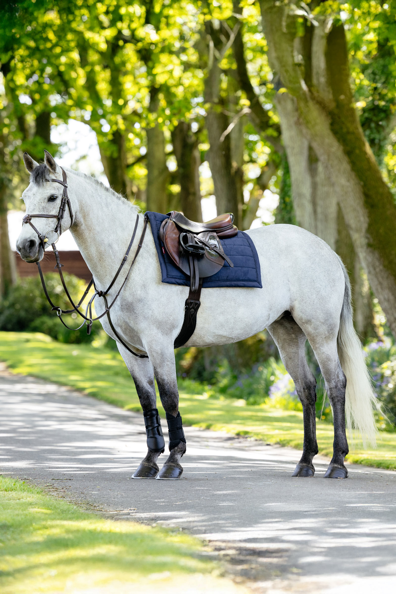 LeMieux Pillow tapis de selle mixte matelassé