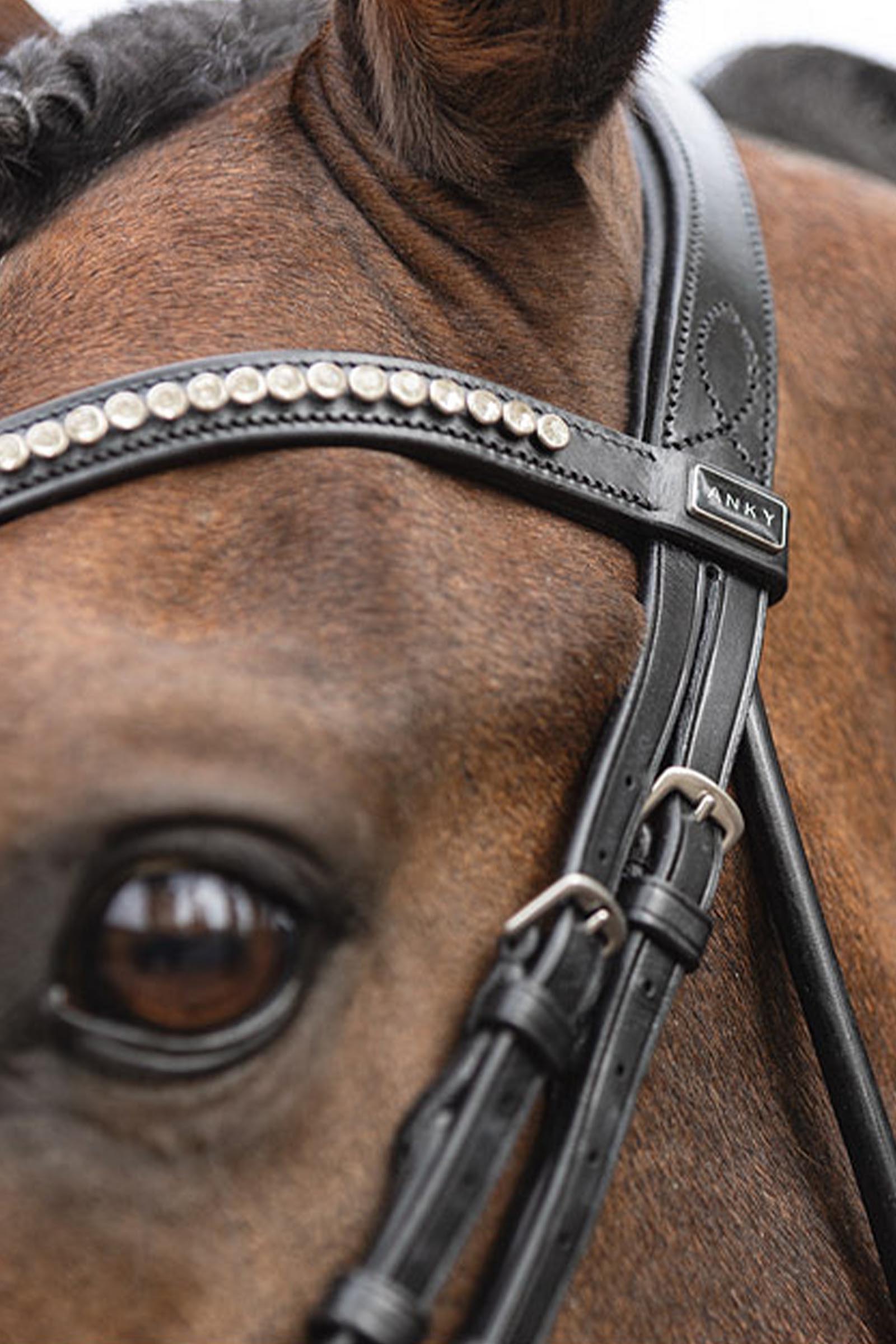 ANKY Anatomic Bridon avec muserolle anatomique