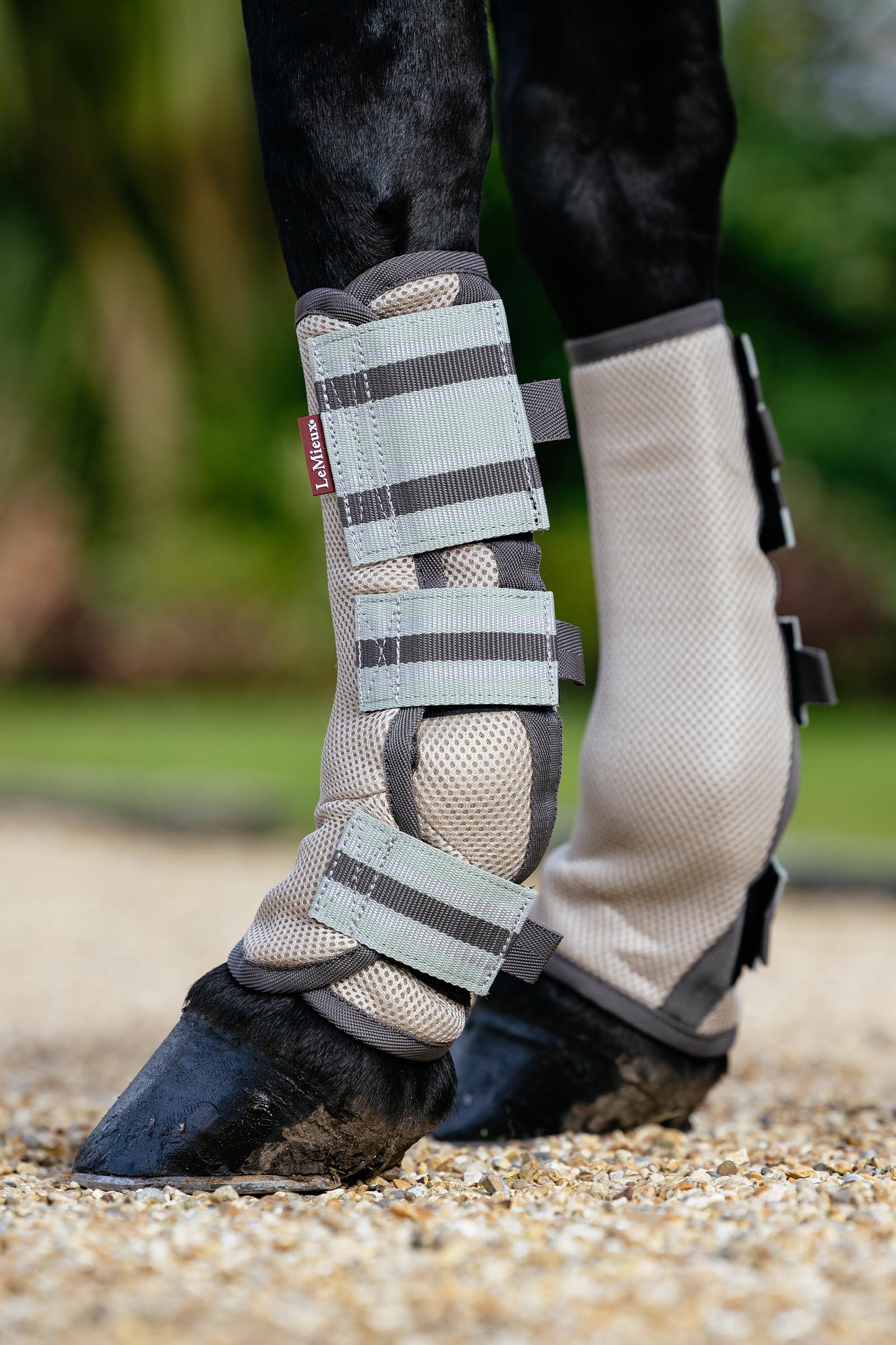 LeMieux Arika gu&ecirc;tres anti-mouches en mesh lot de 4