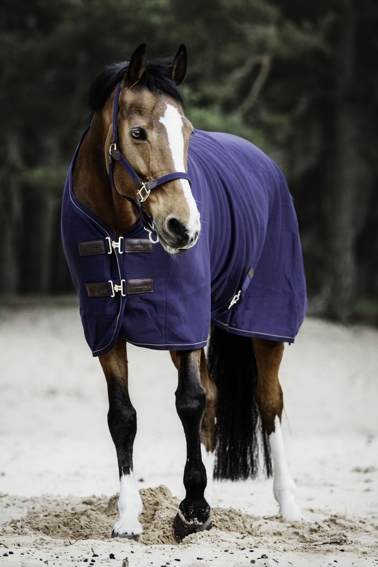 Kentucky Horsewear Tiny Cooler Fleece Rug