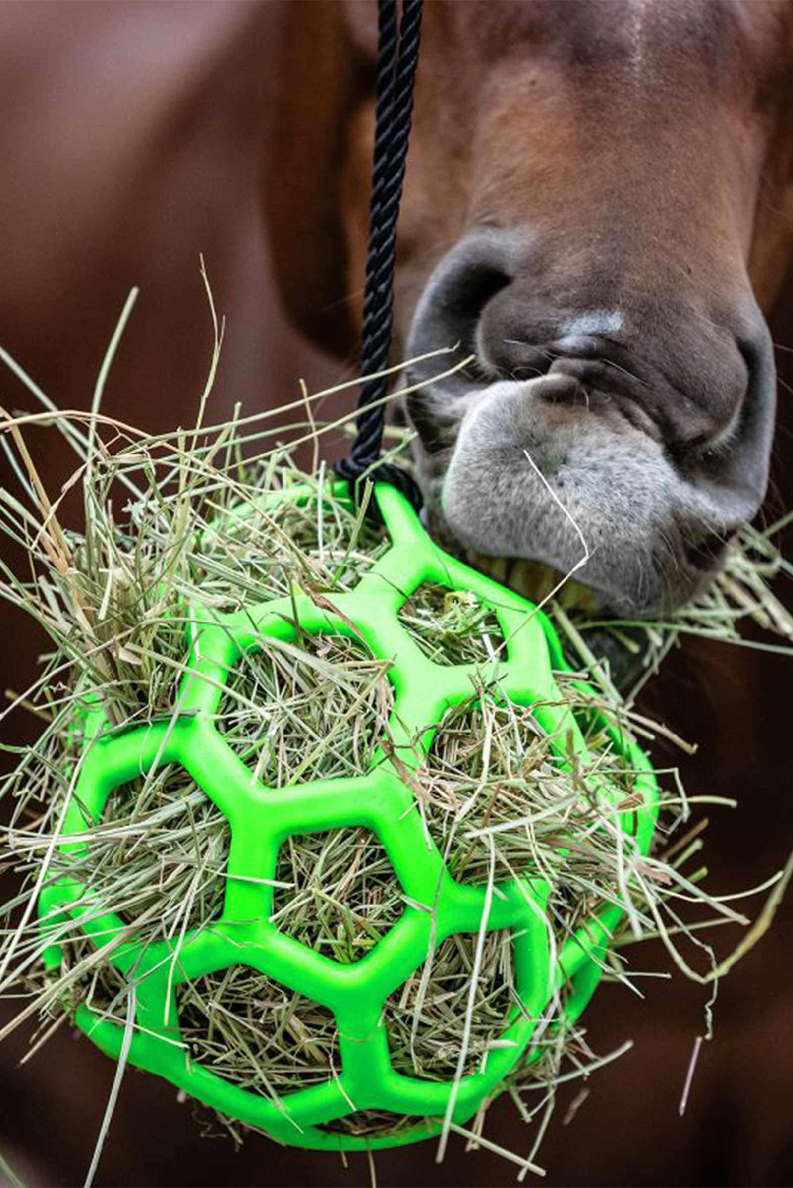 Waldhausen balle &agrave; foin