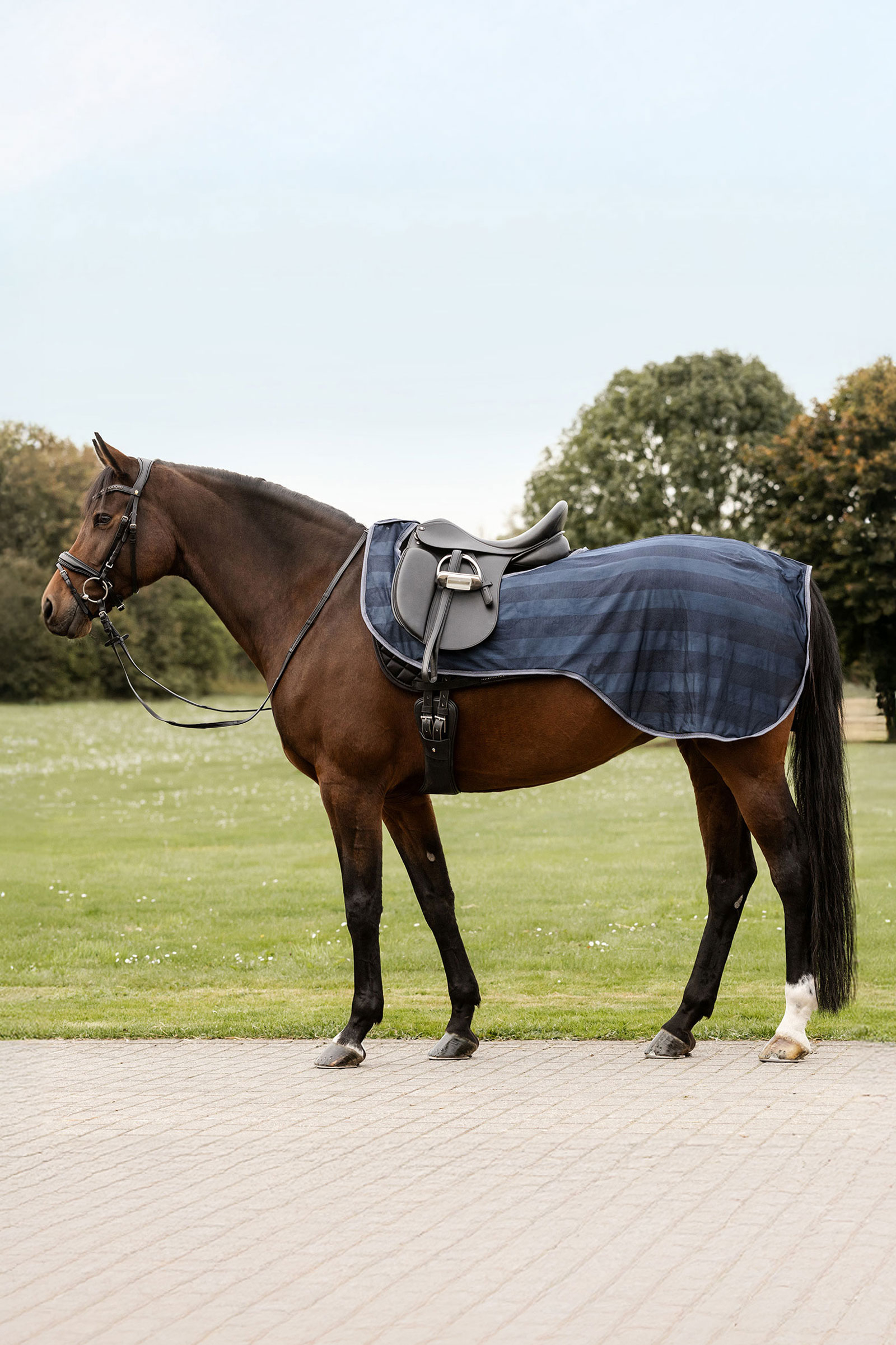 Night Blue Waldhausen Economic couverture anti-mouches pour l'exercice