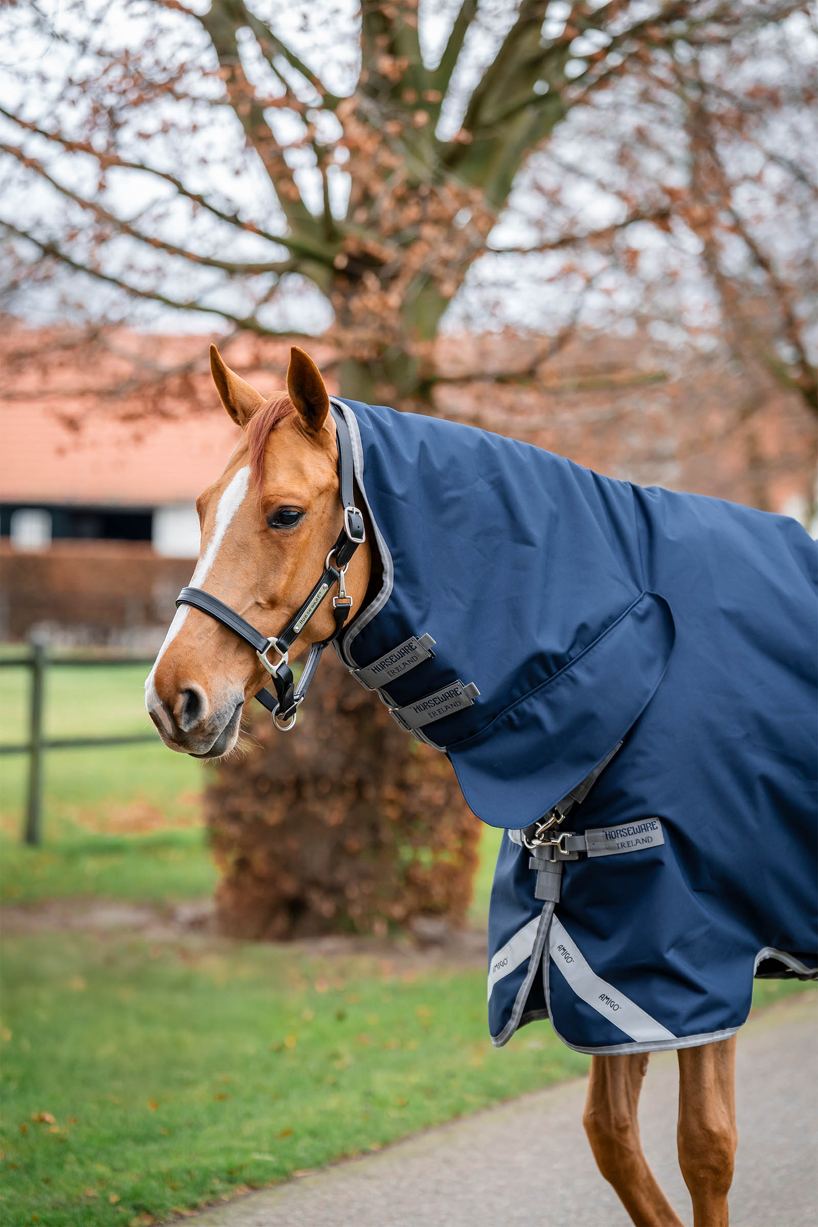 Horseware Amigo 1200D couverture imperm&eacute;able int&eacute;gr&eacute;e 250 g
