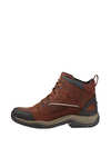 Bottes d'écurie Ariat Telluride II H20 pour homme