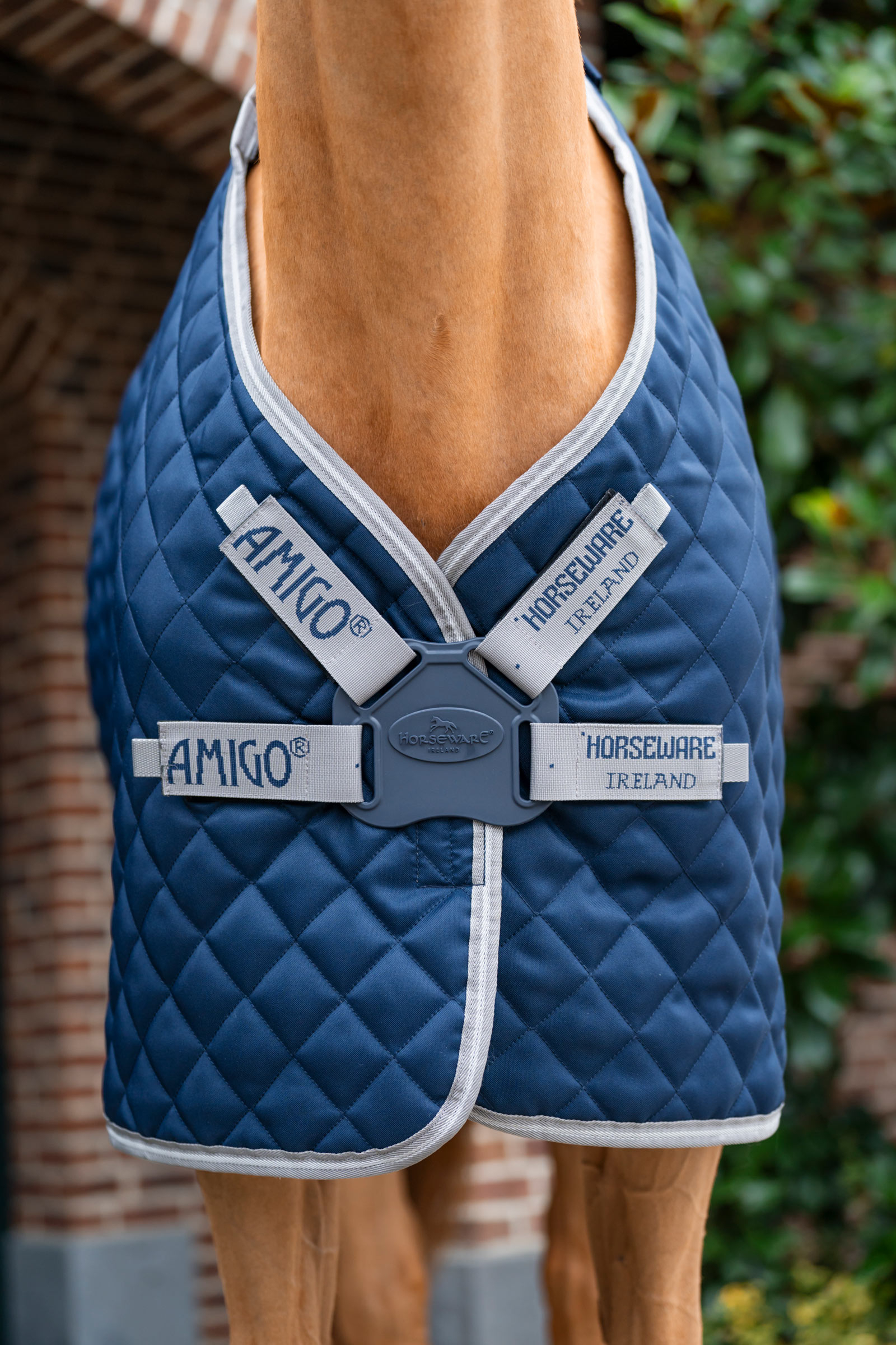 Horseware Amigo couverture d'&eacute;curie matelass&eacute;e Plus, 200 g