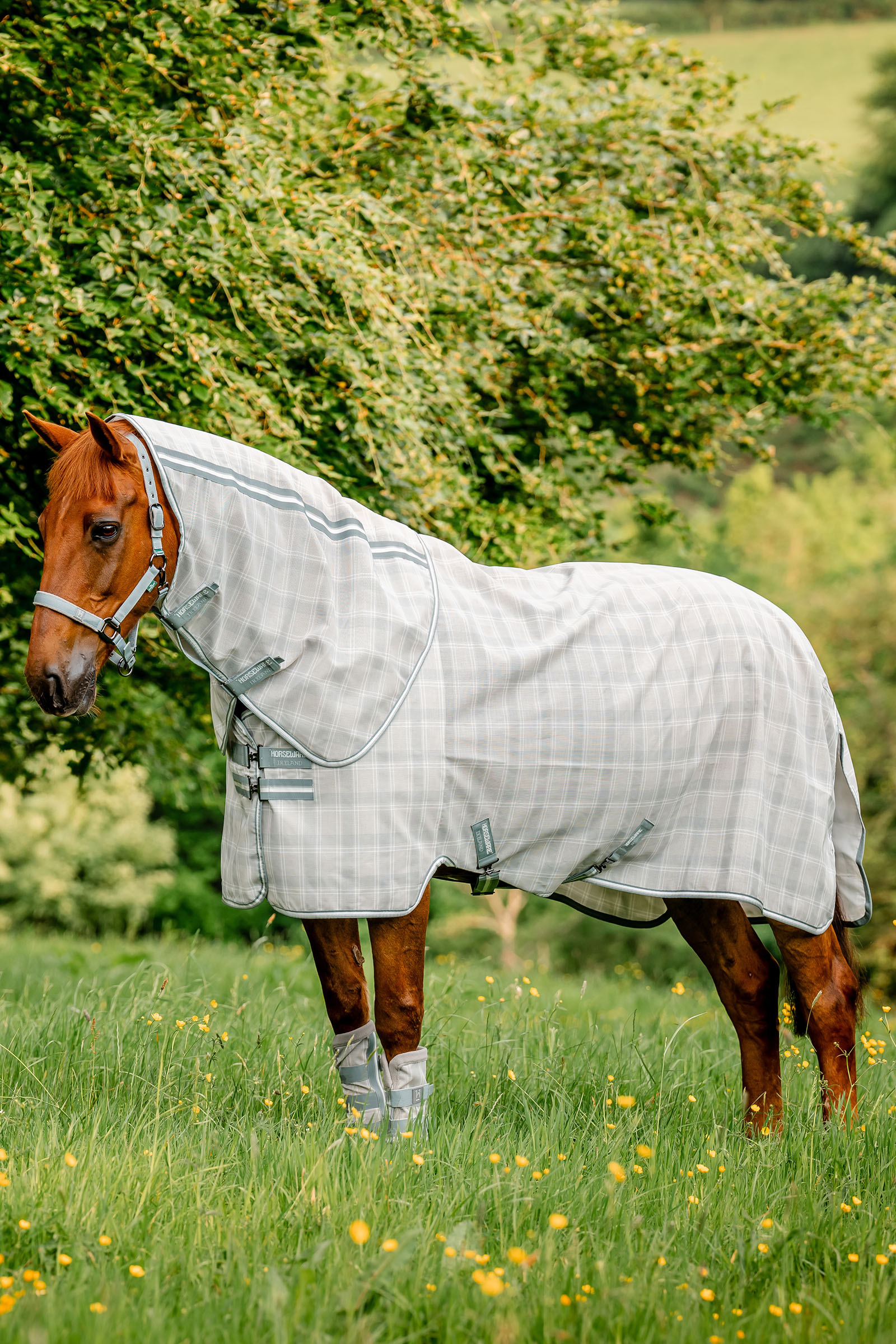 Witney Charcoal Horseware Newmarket Plus Couverture anti-mouches