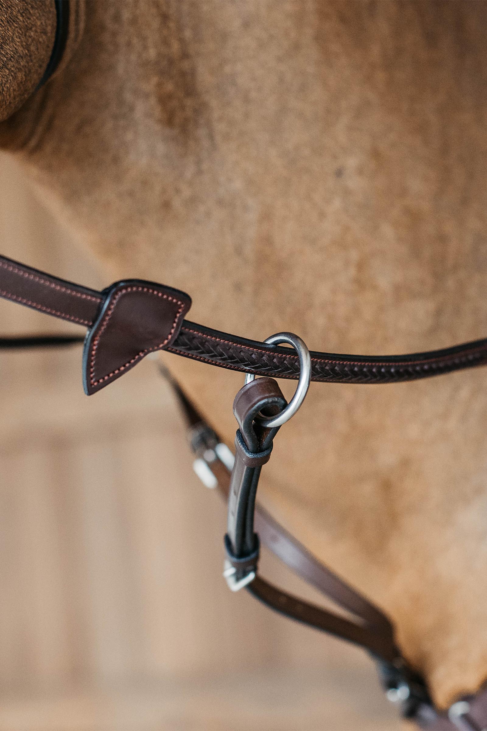 Dy'on New English r&ecirc;nes en caoutchouc (13 mm), tress&eacute;es avec 7 but&eacute;es en cuir