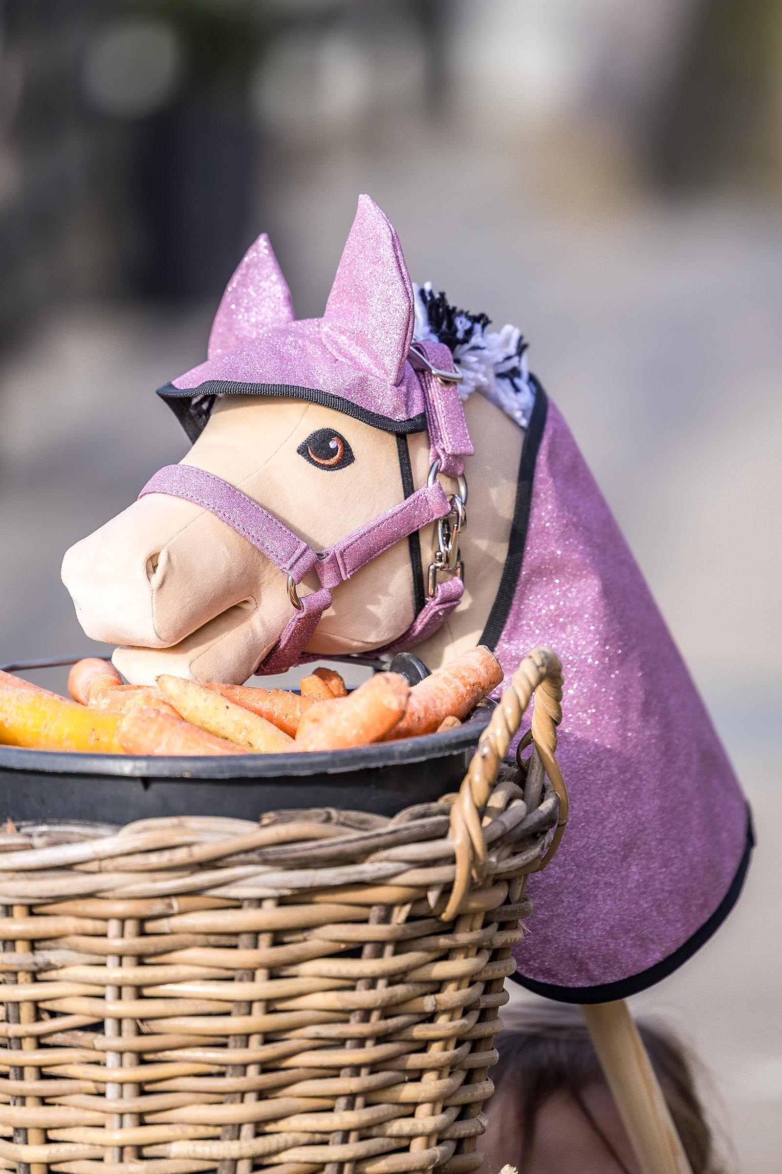 My Hobby Horse couverture et bonnet anti-mouches