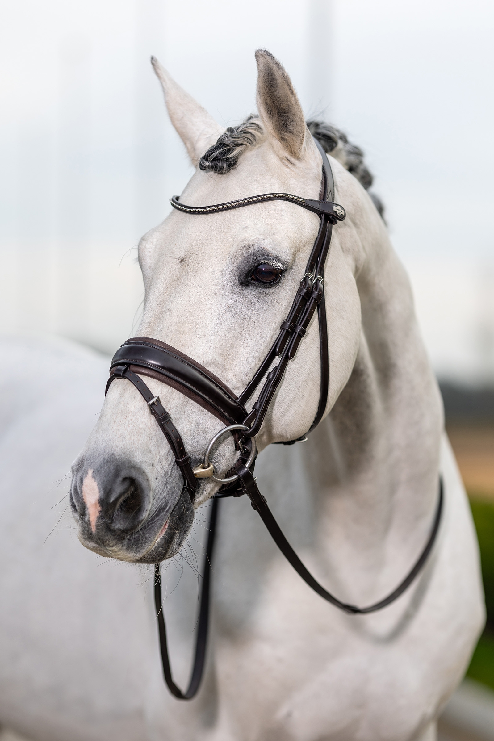 Kudos Bride dressage classique LeMieux
