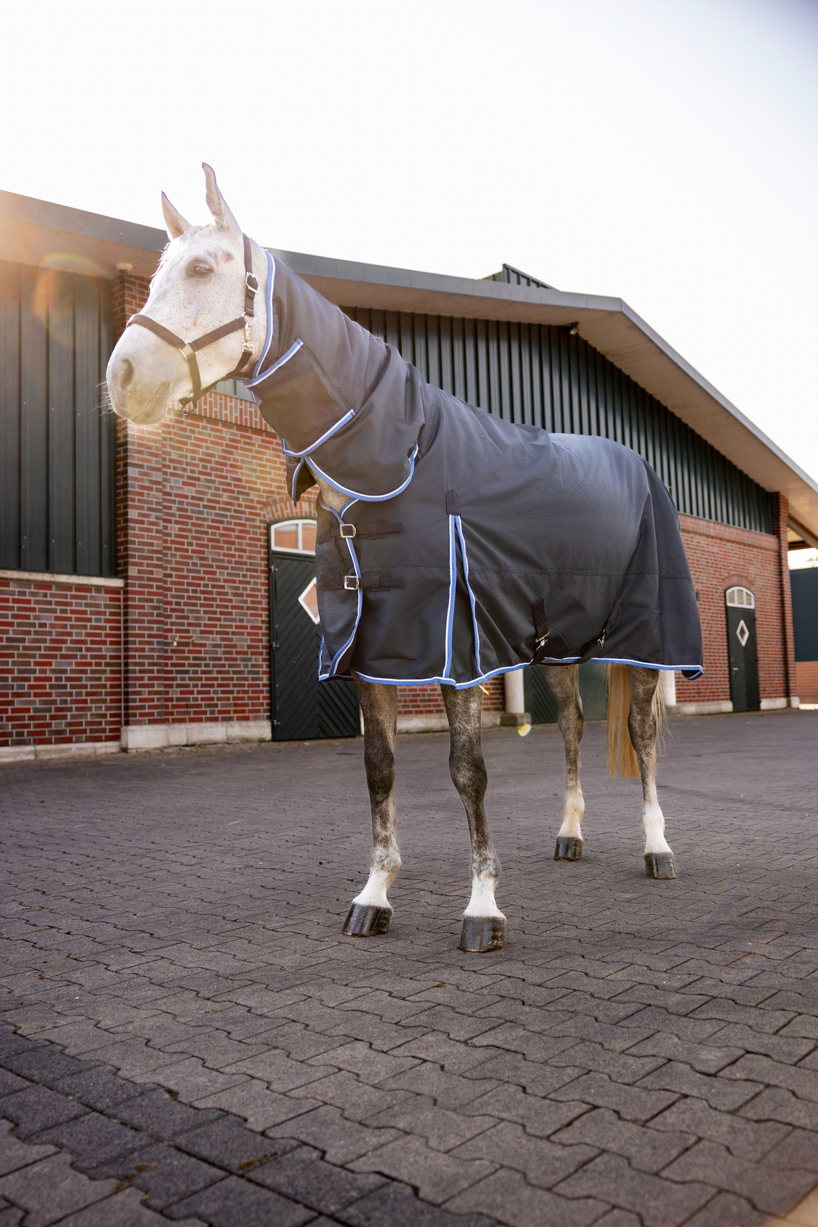 Couverture d'ext&eacute;rieur avec couvre-encolure Horze Glasgow, 400 g