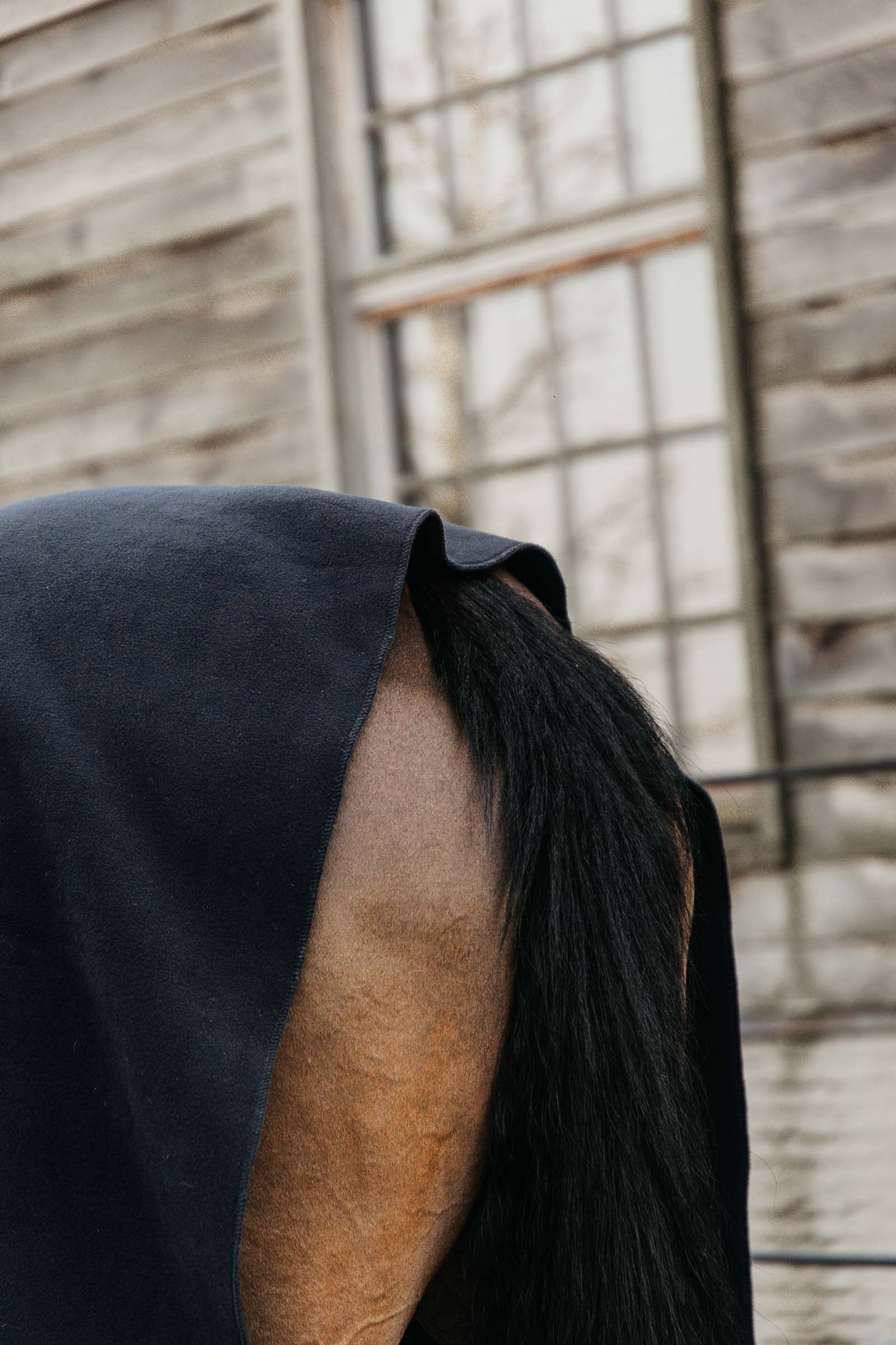 Kentucky Horsewear Couverture séchante carré Heavy