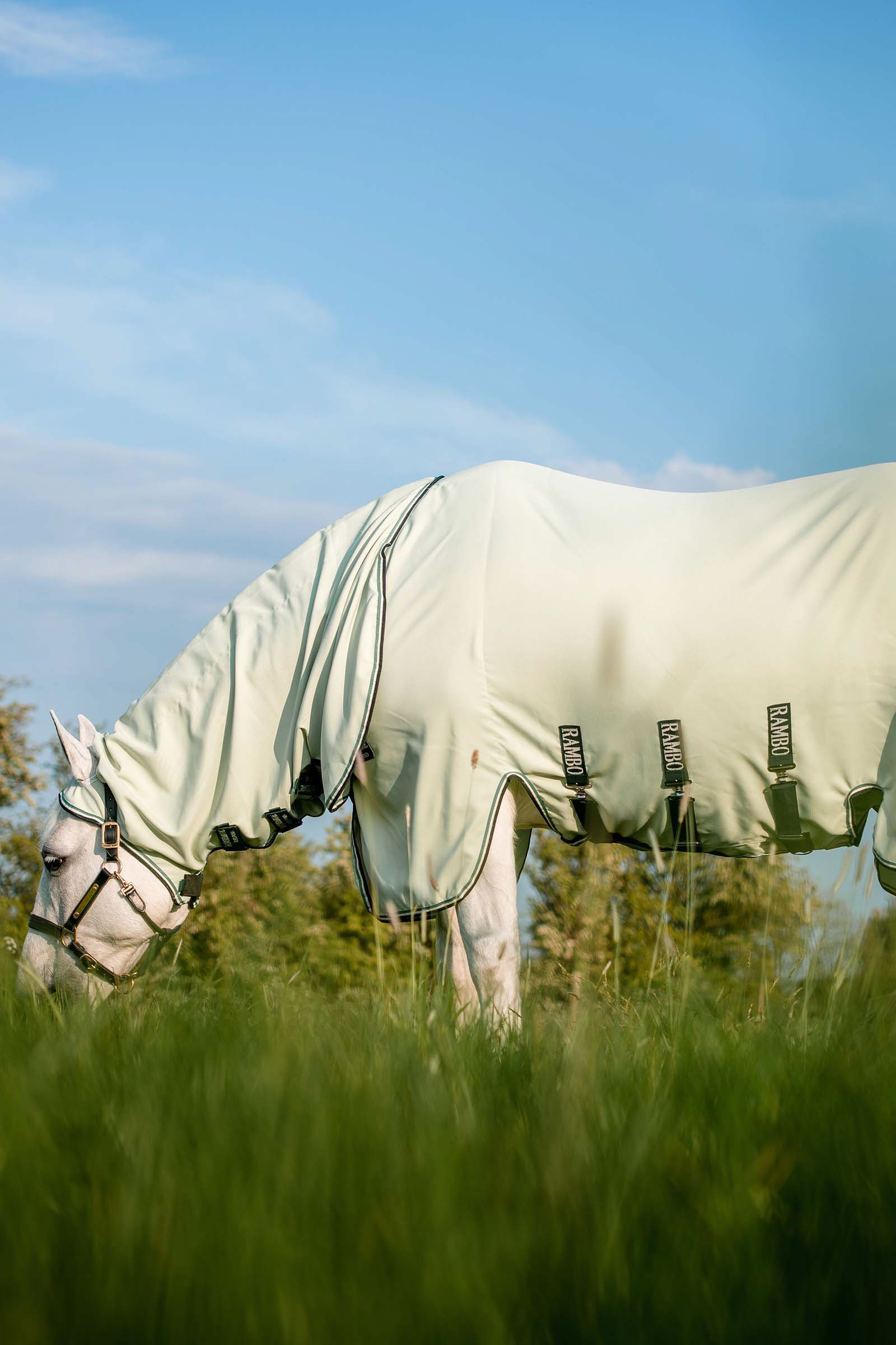 Sweat à capuche Horseware Rambo XL