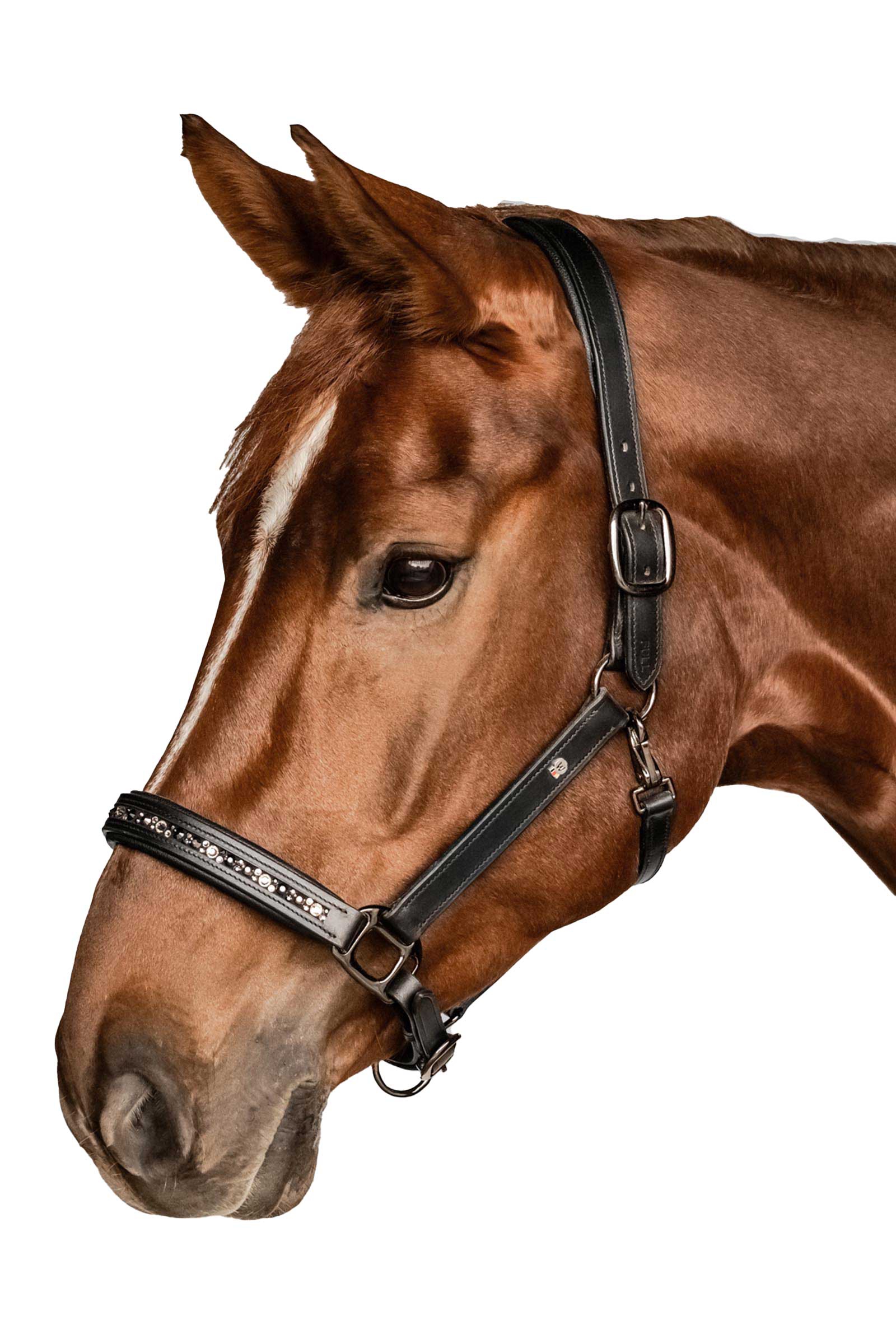 Waldhausen X-Line Crystal Licol en cuir