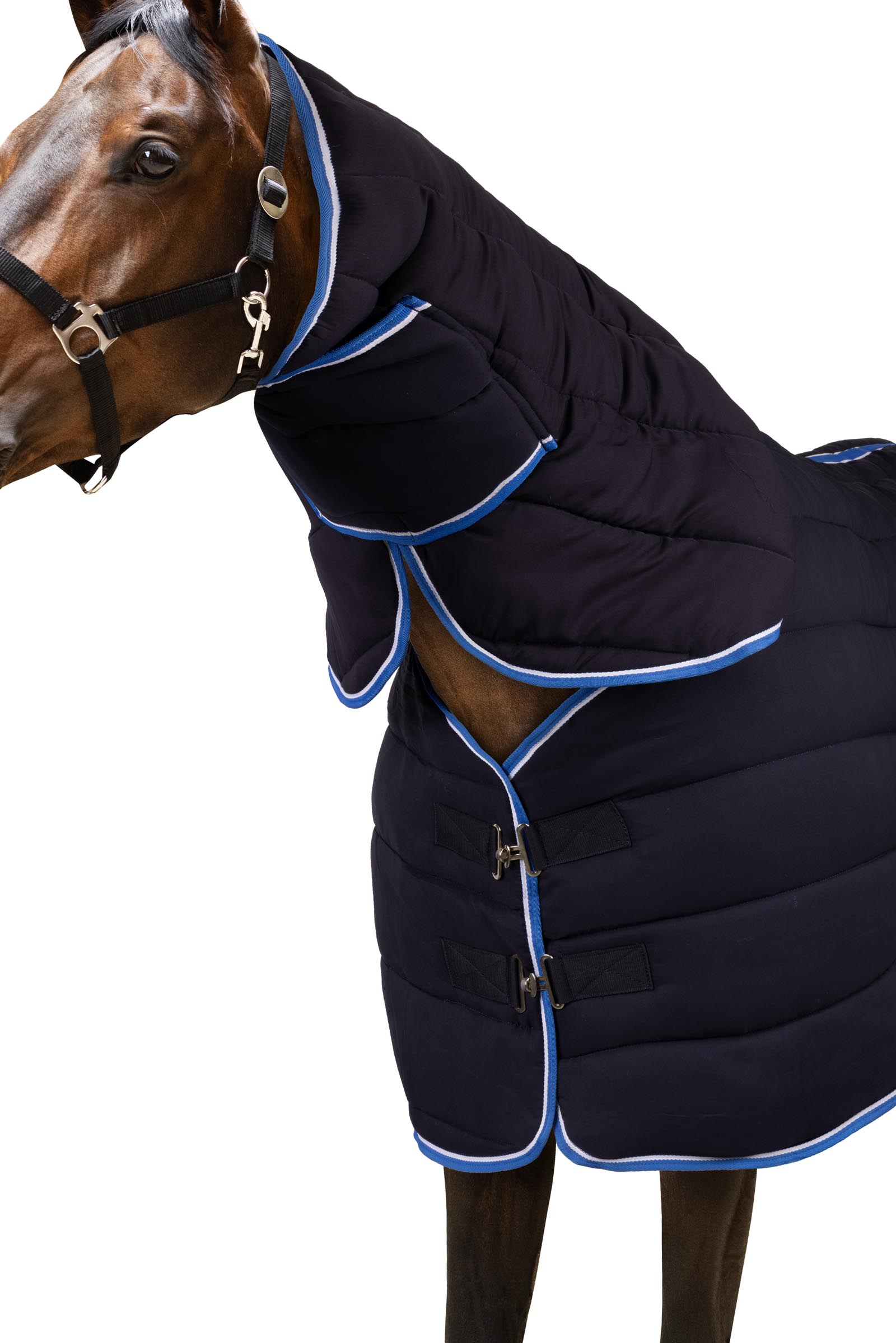 Couverture d'&eacute;curie /sous-couche avec couvre-encolure Horze Glasgow, 250 g