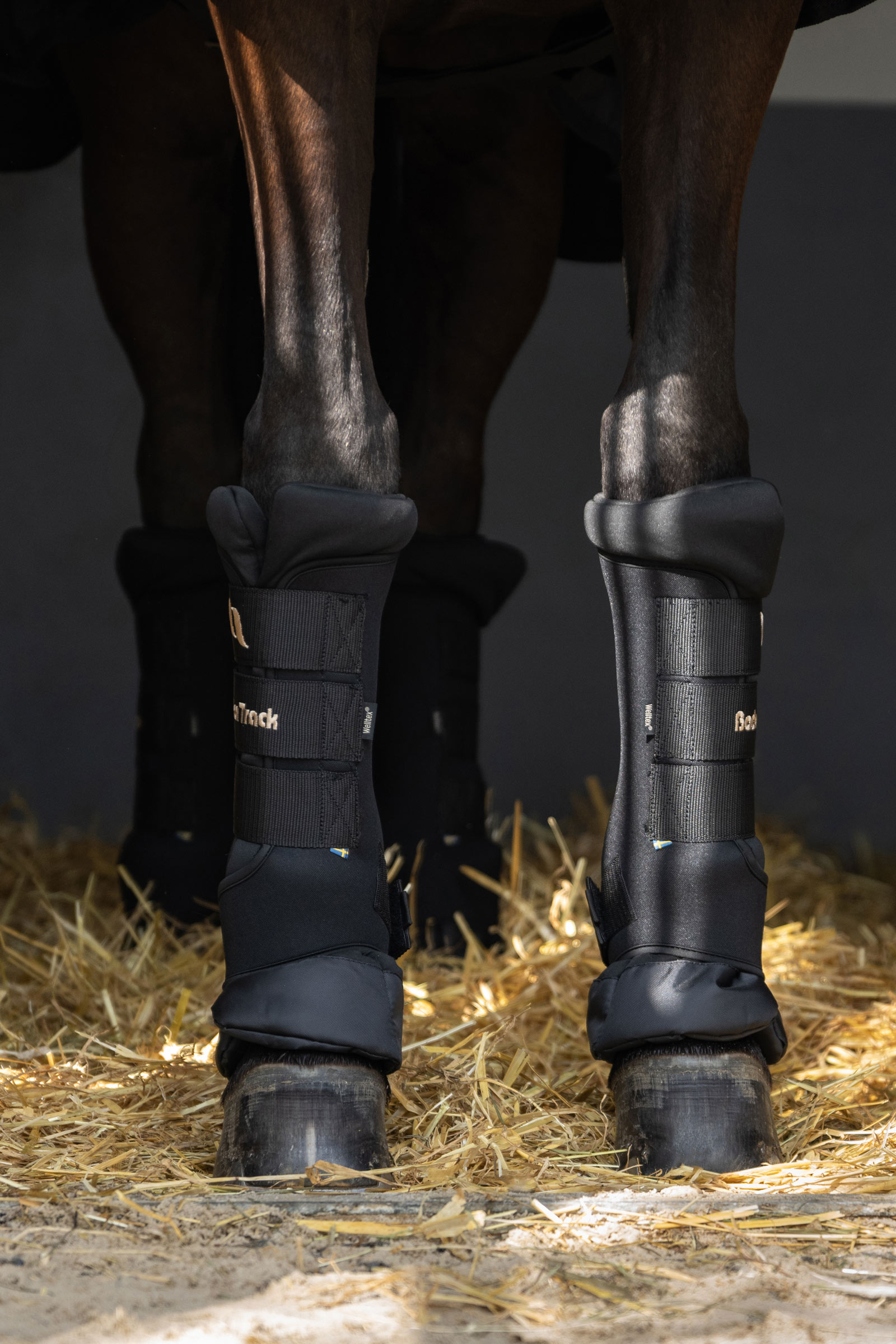 Guêtres de repos Back on Track Quick Royal