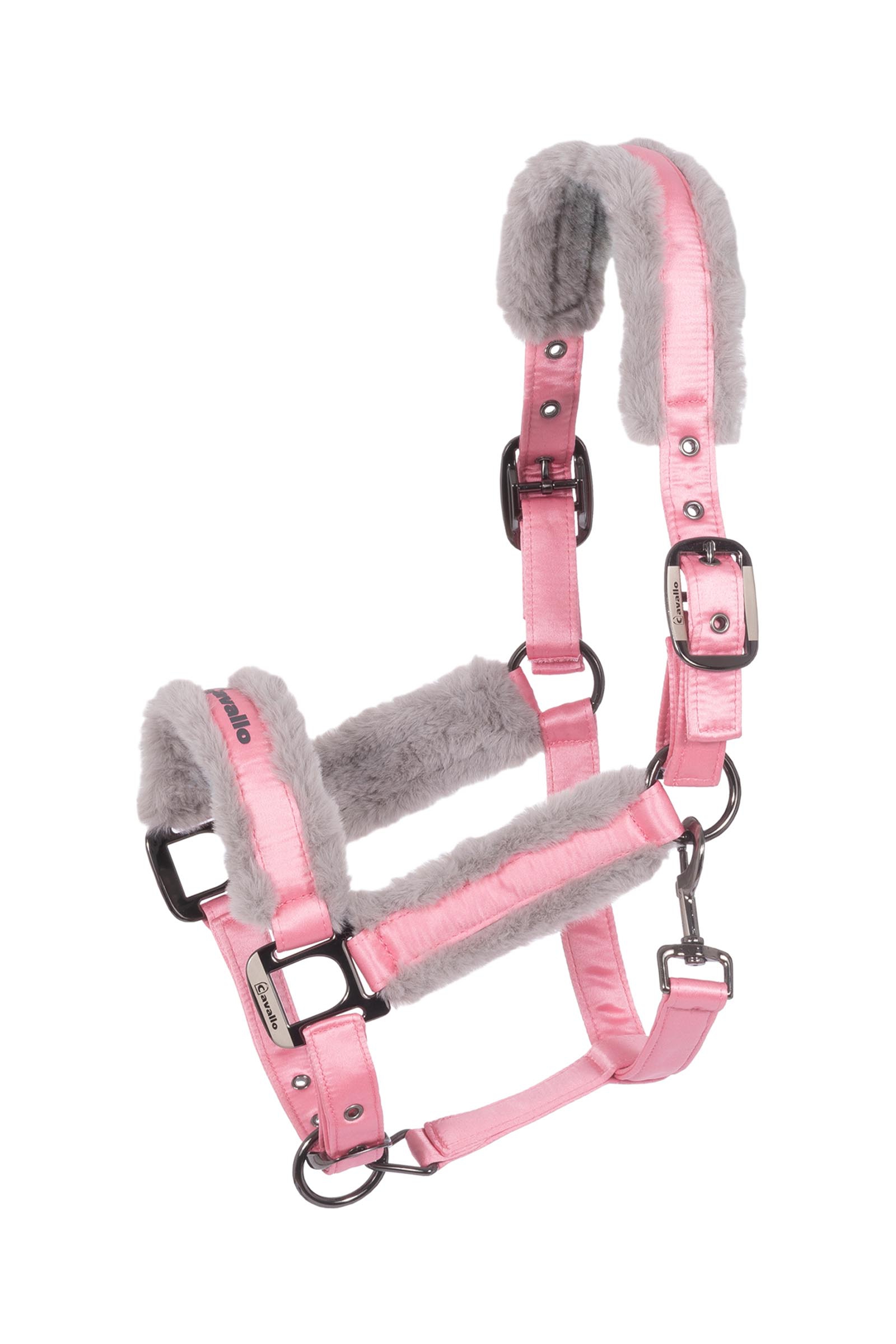 Powder Pink Cavallo CAVALJERO licol