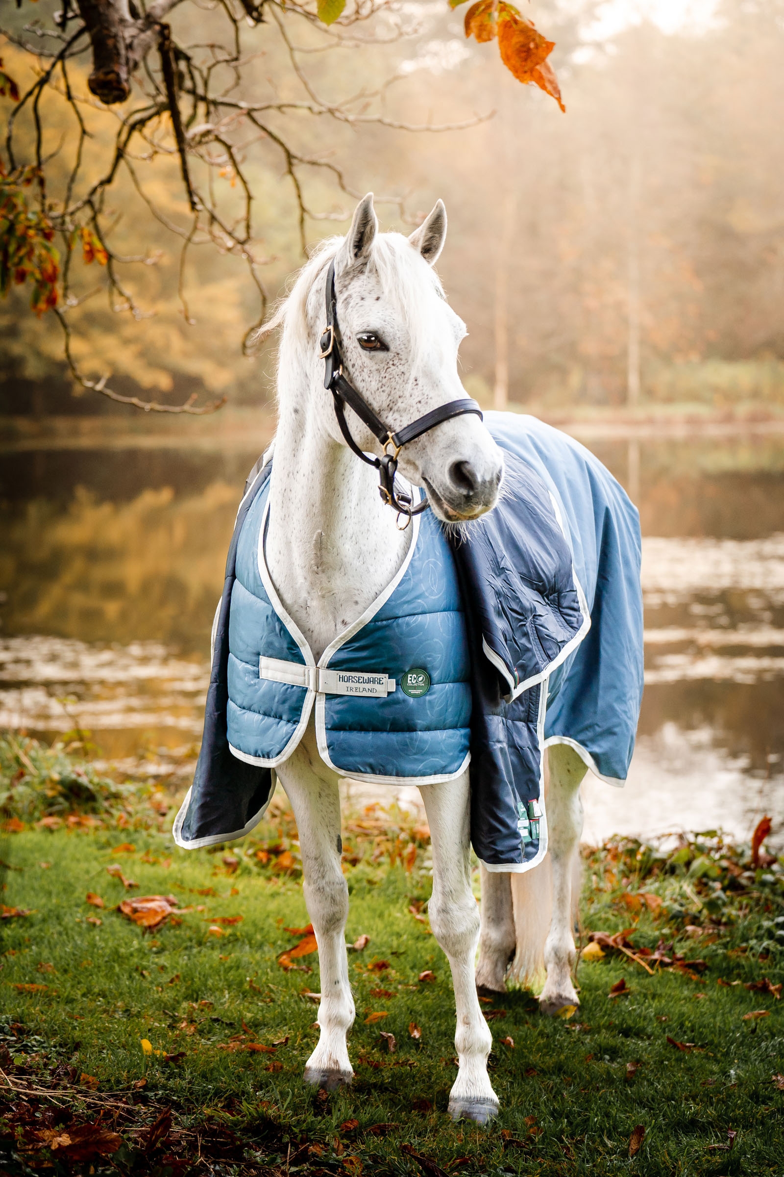 Doublure AmEco Horseware, 100 g