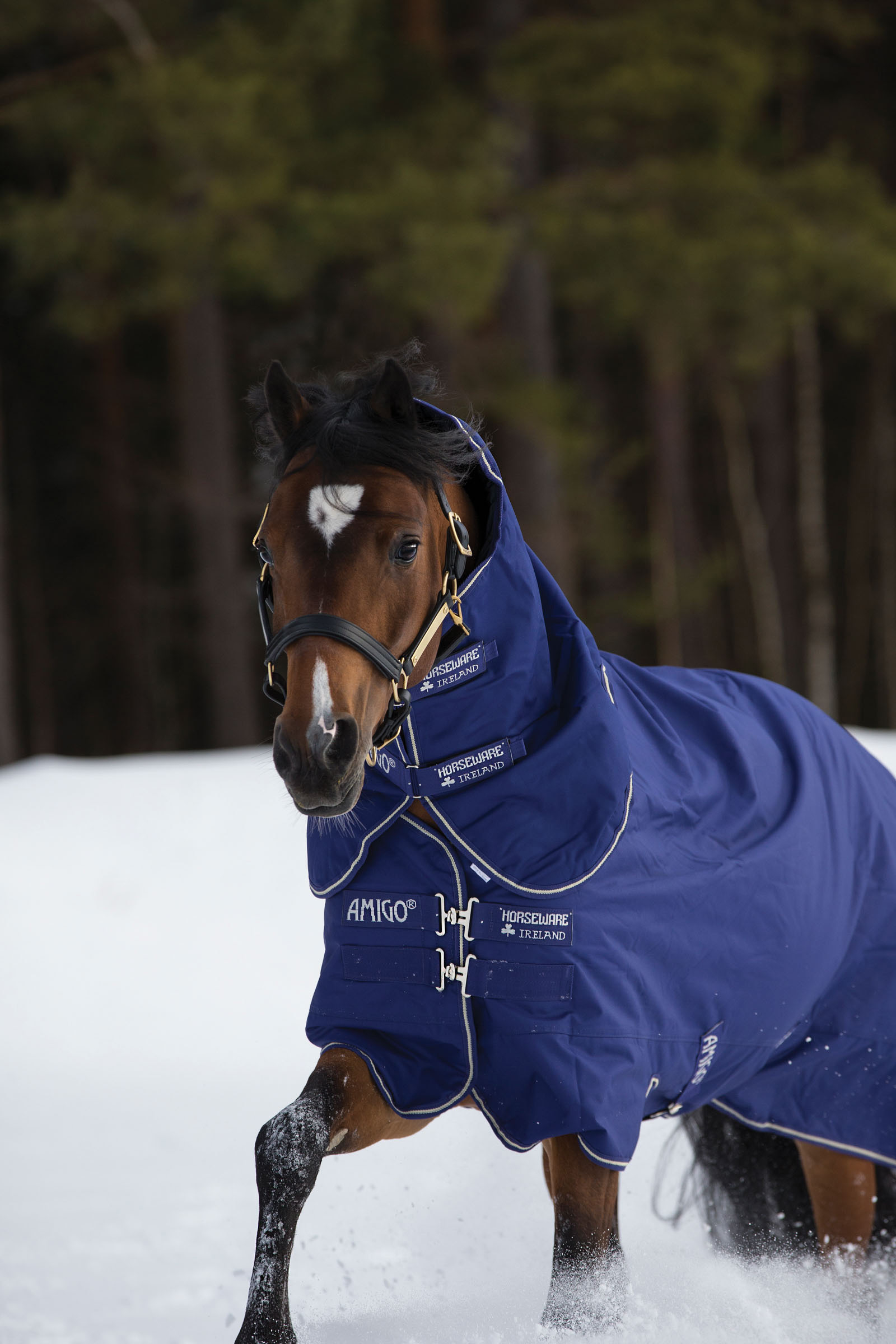 Horseware Amigo Hero 900 Plus Medium couverture imperm&eacute;able, 200g