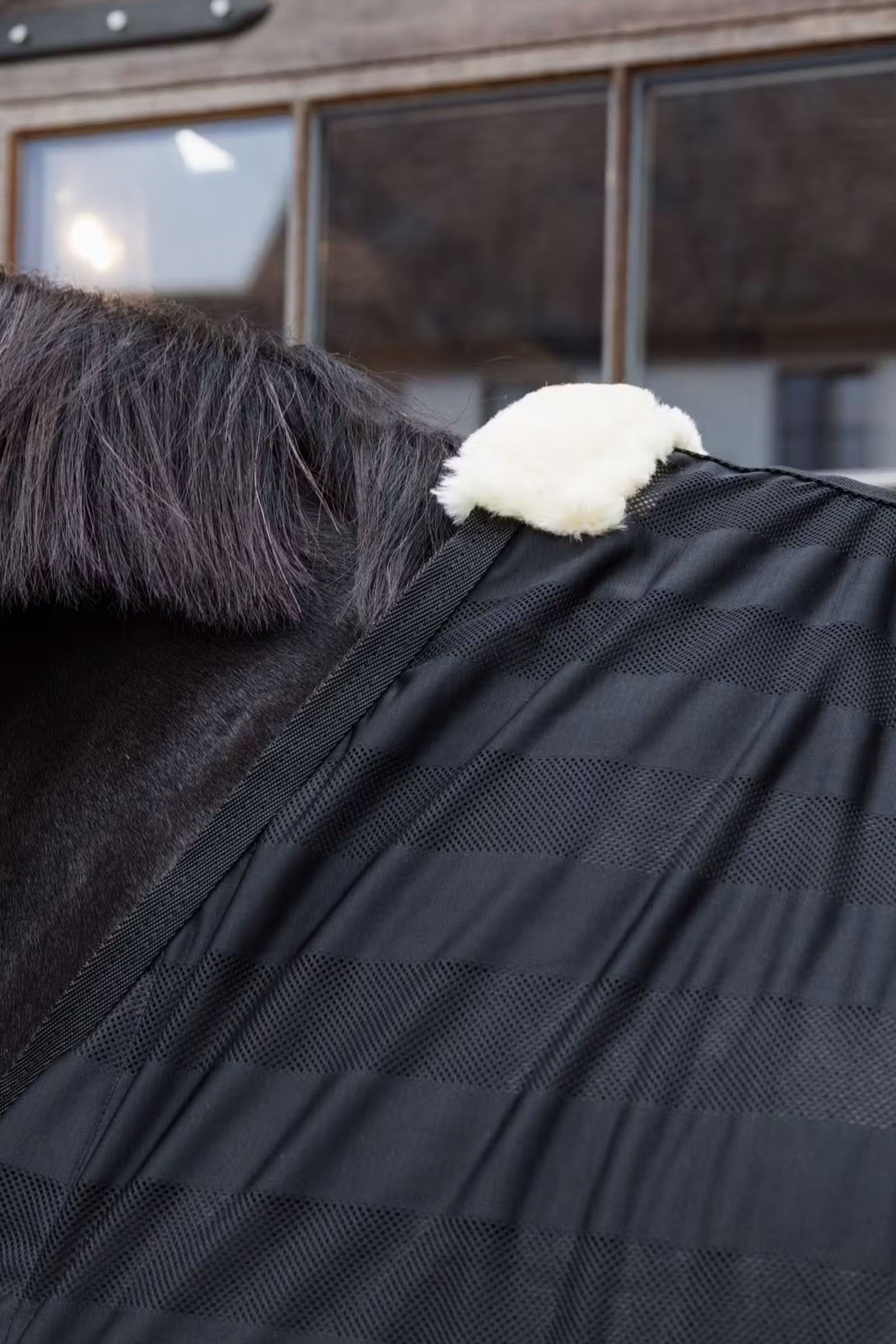 Kentucky Horsewear couverture anti-mouches l&eacute;g&egrave;re en mesh &agrave; rayures