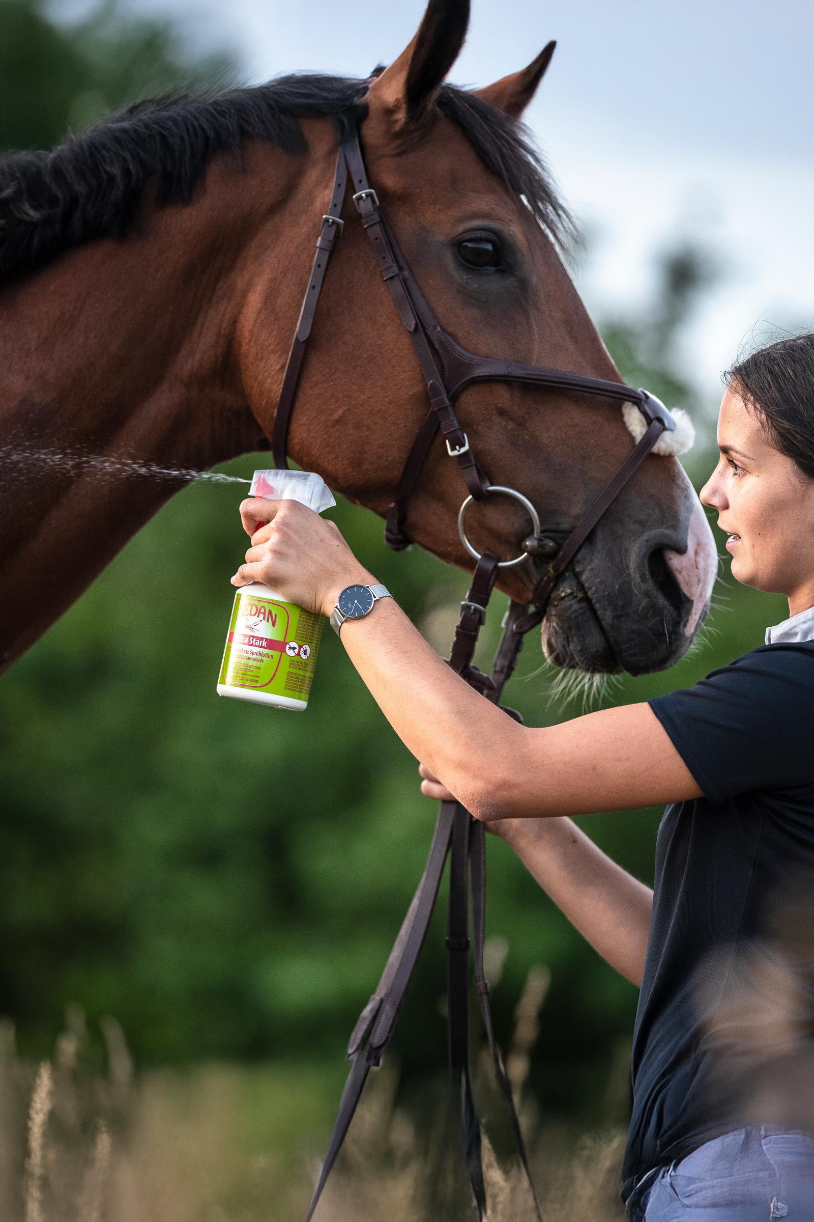 Lotion anti-insectes en spray Zedan SP extra forte, spray anti-mouches, 500 ml