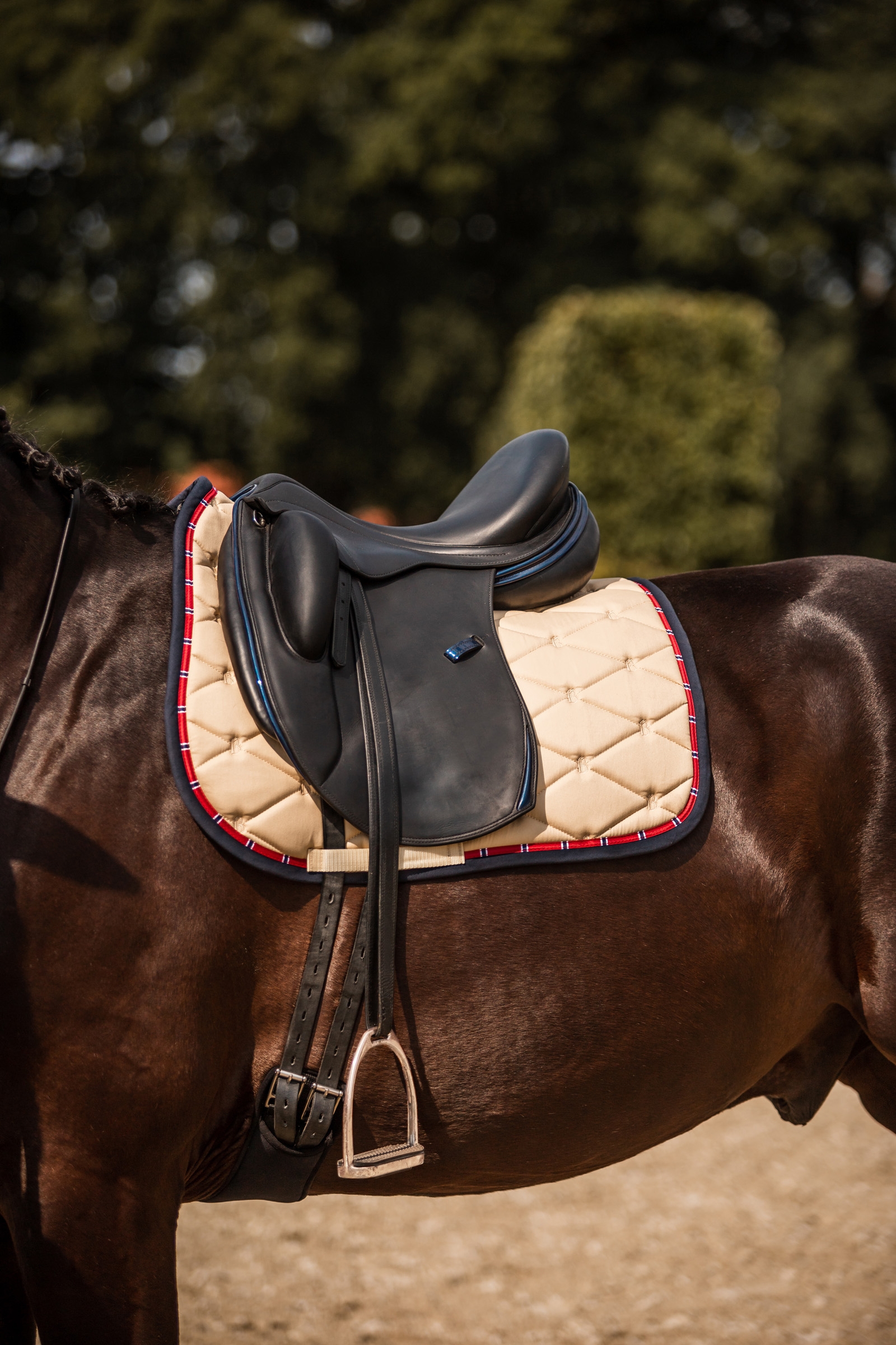 Tapis de selle de dressage B Vertigo Amory avec monogramme brodé