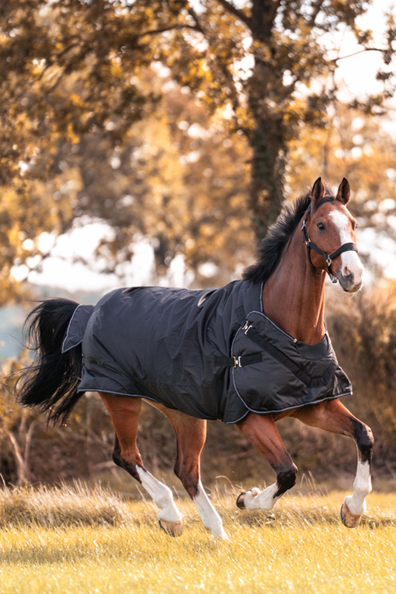 Kavalkade Halifax 2-en-1 Couverture d'ext&eacute;rieur et Couverture marcheur 50g