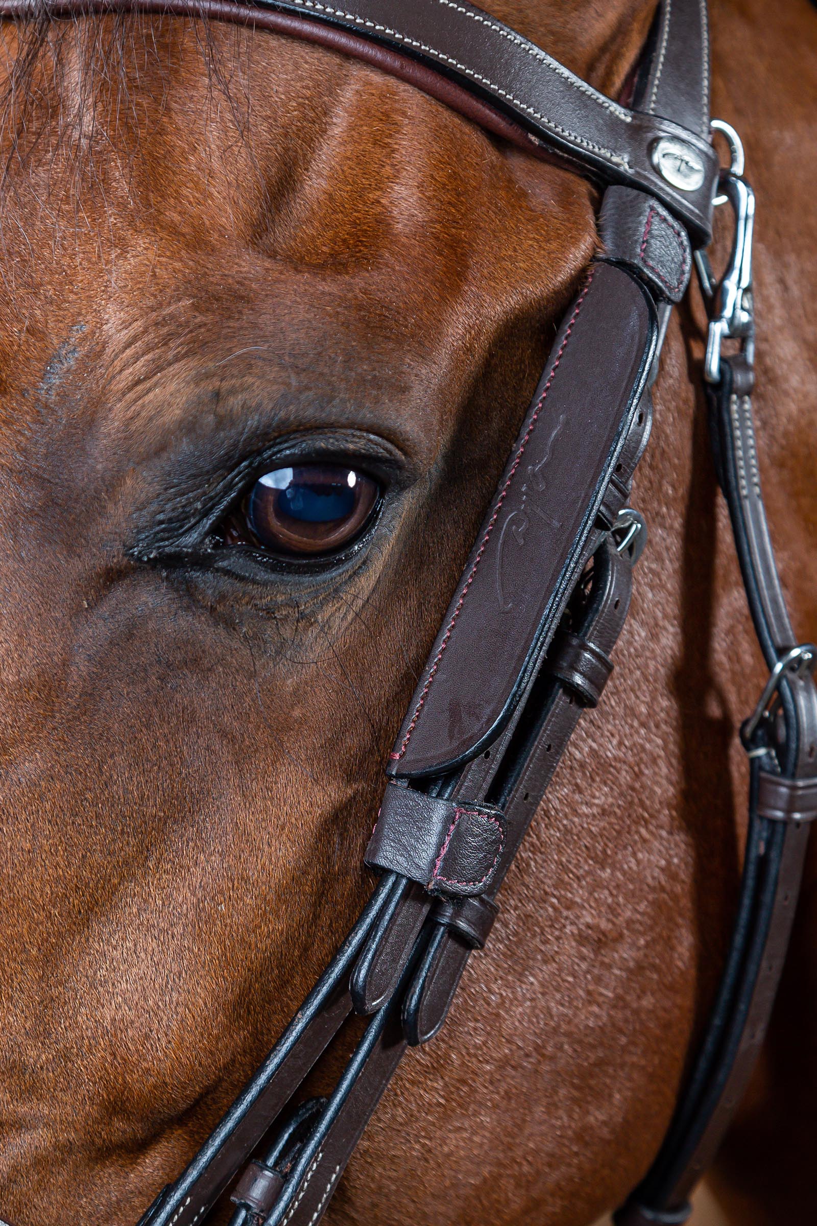 Dy'on Working mini œillères