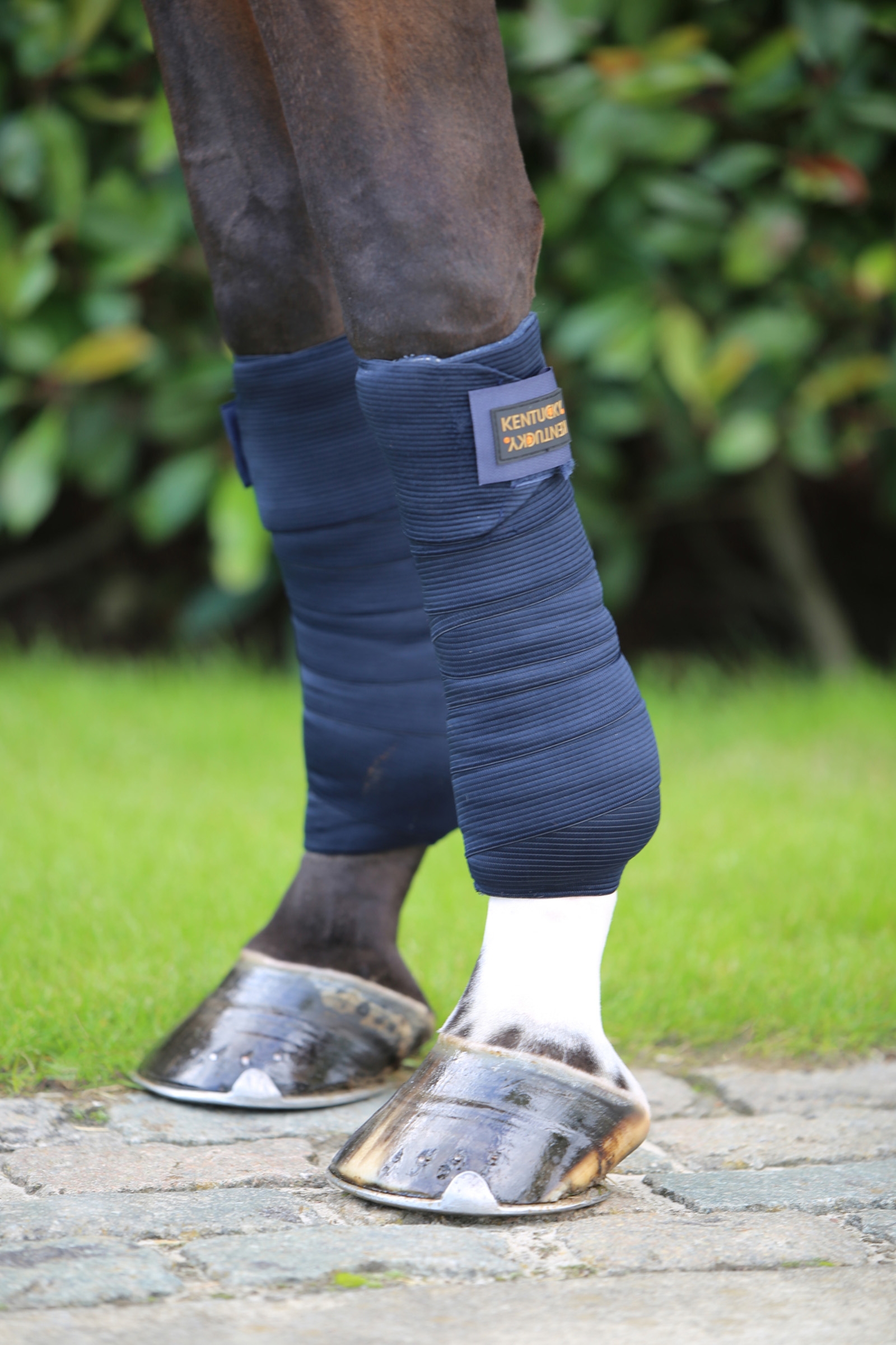 Elastic Bandage Kentucky Horsewear