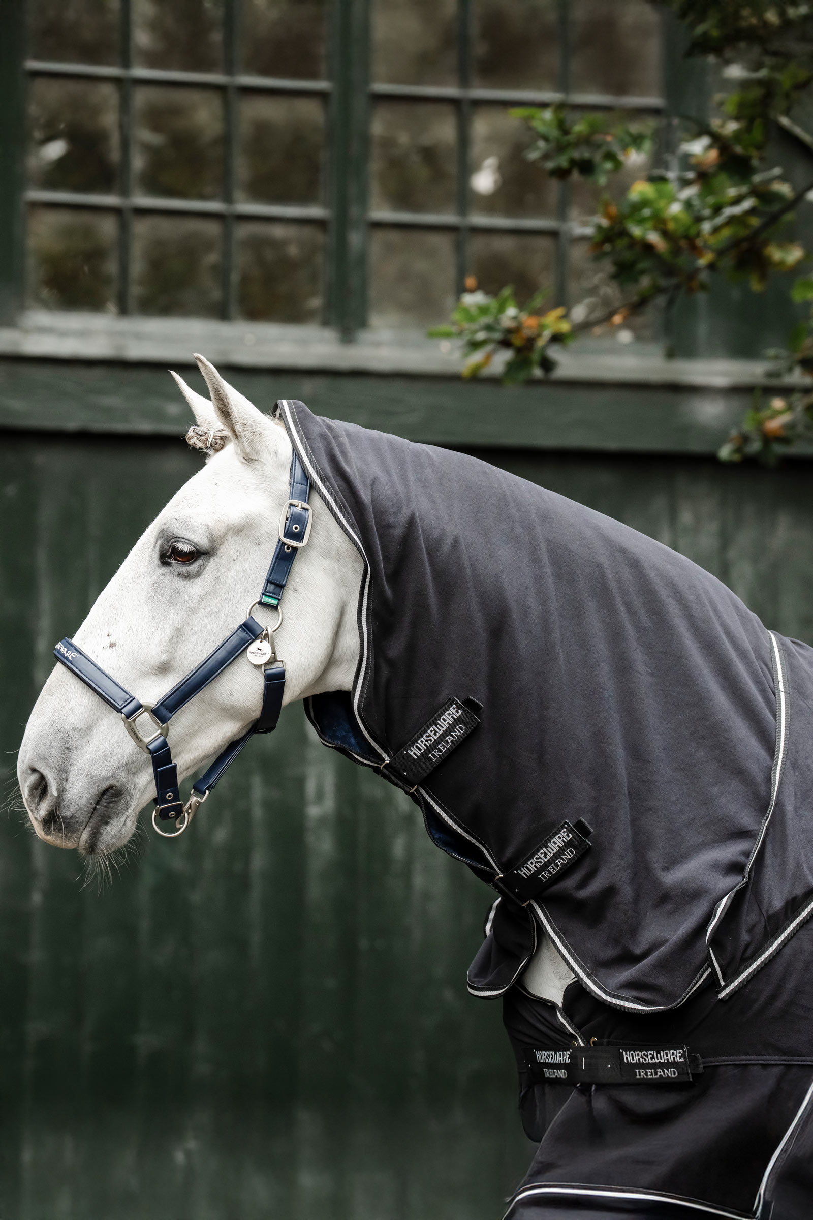 Horseware Show Ready couverture