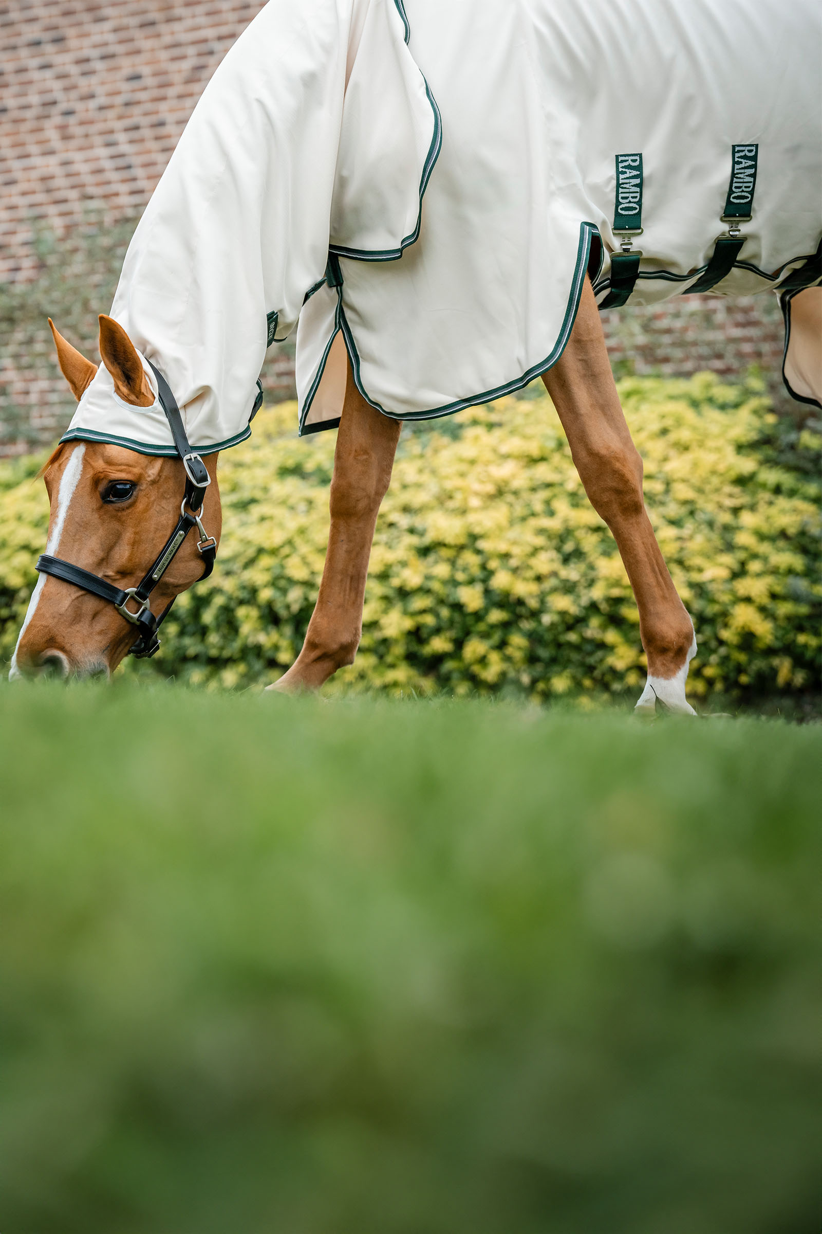 Horseware Rambo cagoule