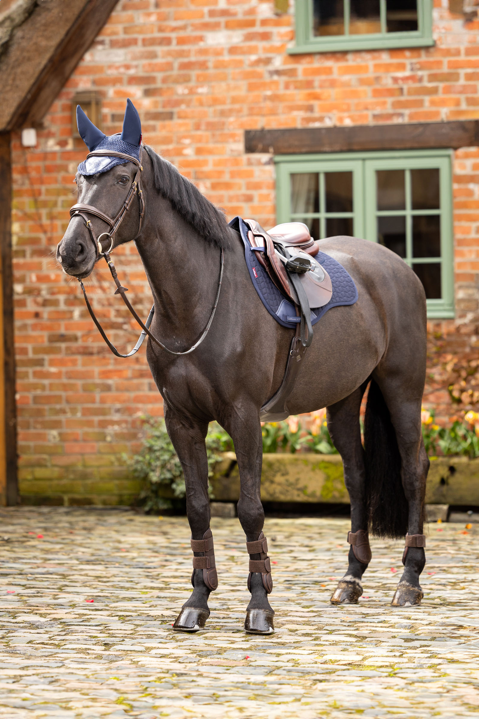 LeMieux Prosorb Plain 2 Pocket GP Square Pad