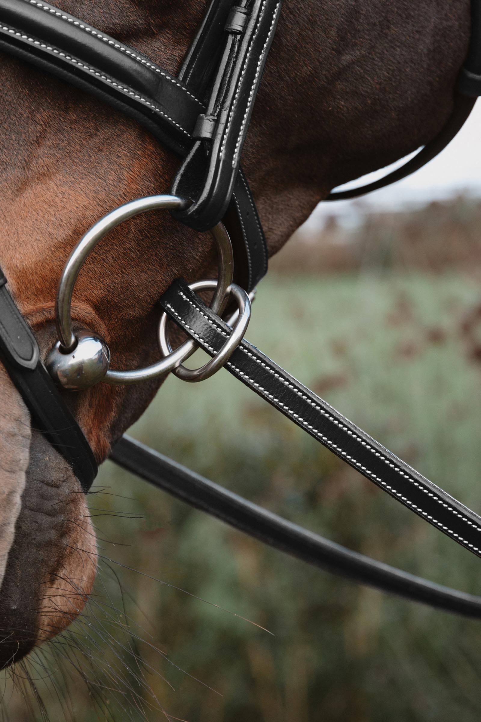 Dy'on Working r&ecirc;nes caoutchouc 13 mm avec 7 arr&ecirc;toirs cuir  