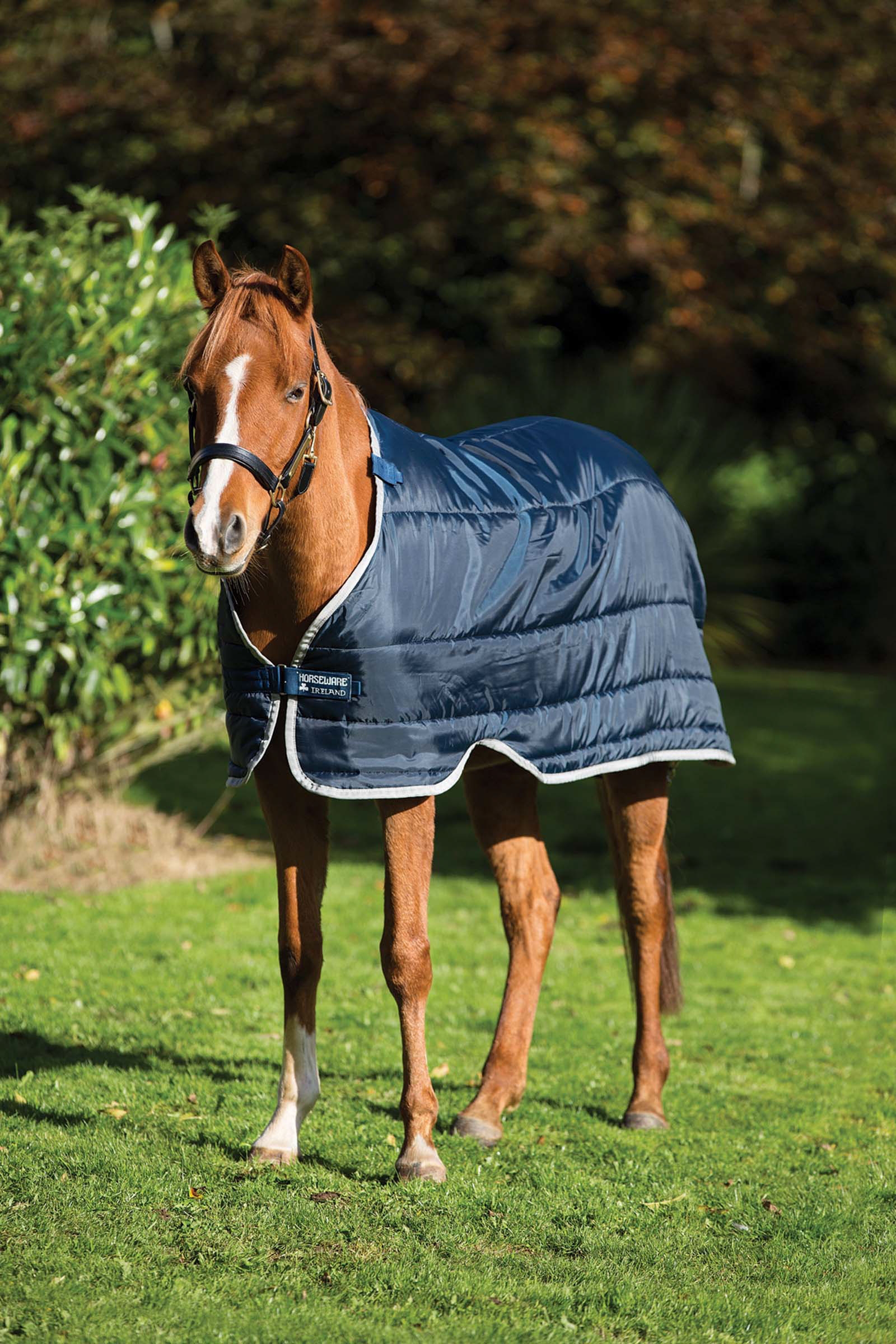 Liner Horseware HW 200g pour poney
