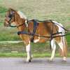 Harnais simple Waldhausen Poney et Shetland
