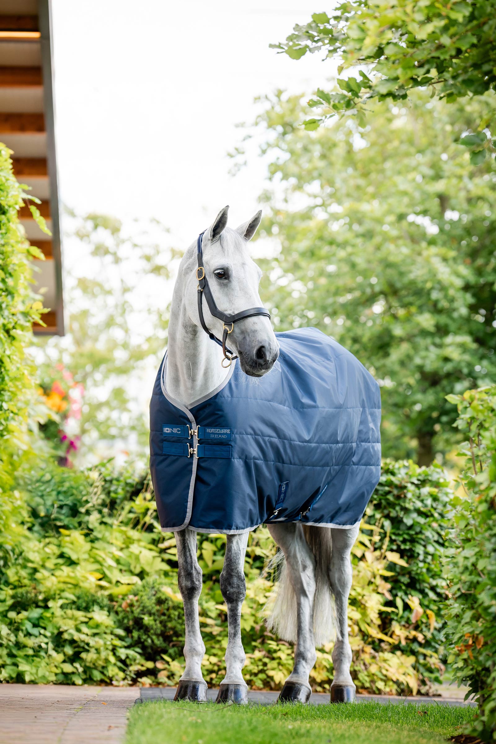 Horseware Ionic Therapy Couverture &eacute;curie, 50g