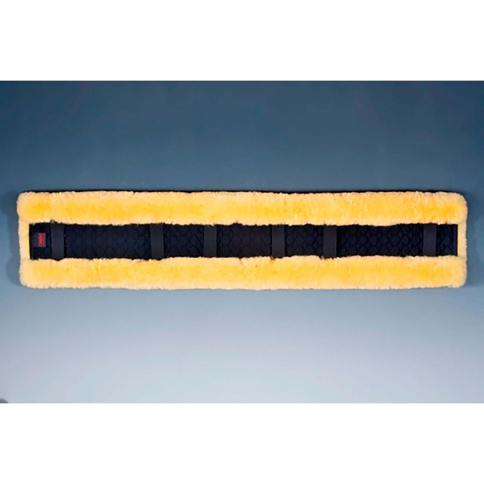 Fourreau de protection Christ, 100