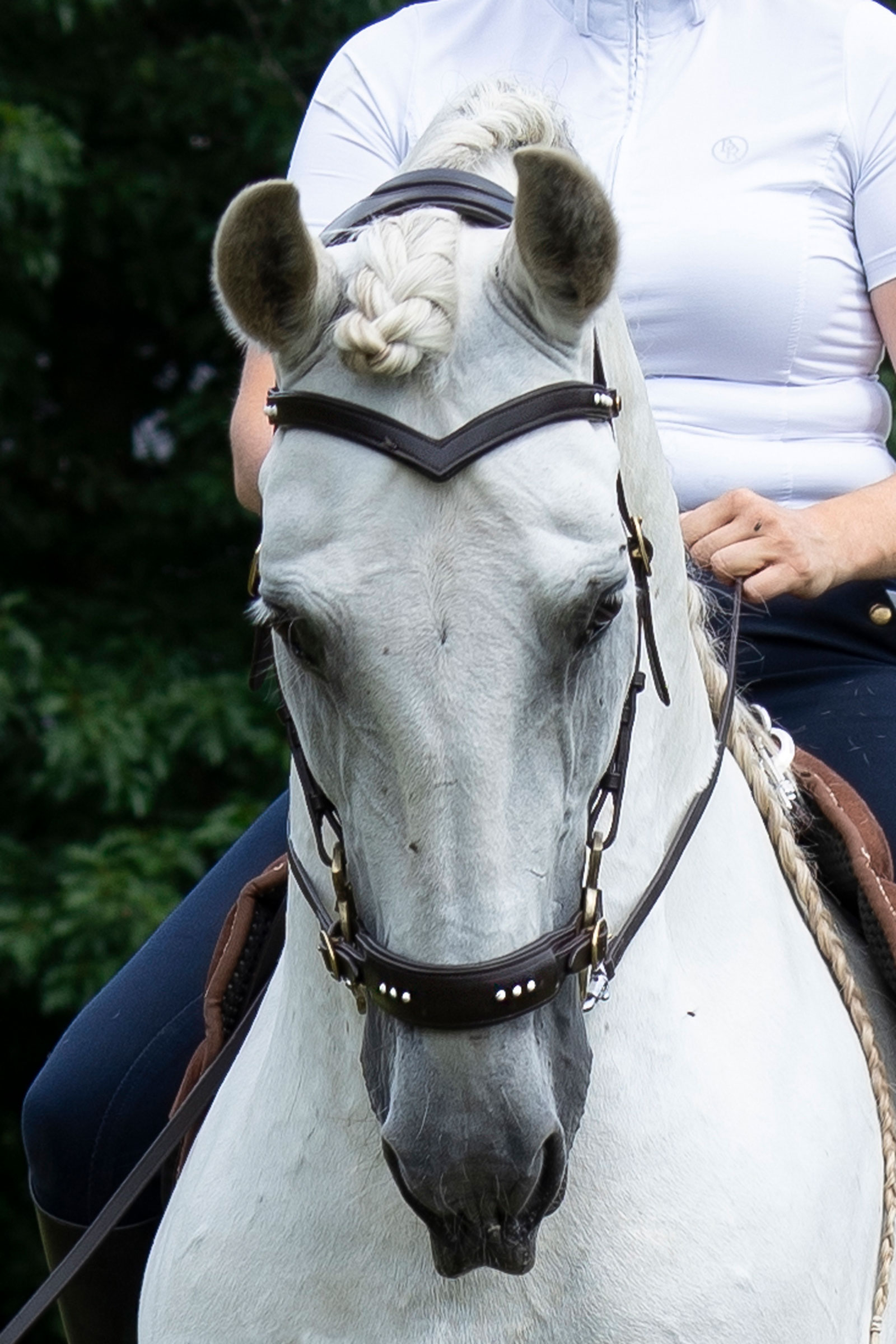 F.R.A. Freedom Riding Articles Glory Hackamore bridon avec rênes (système 2), brun