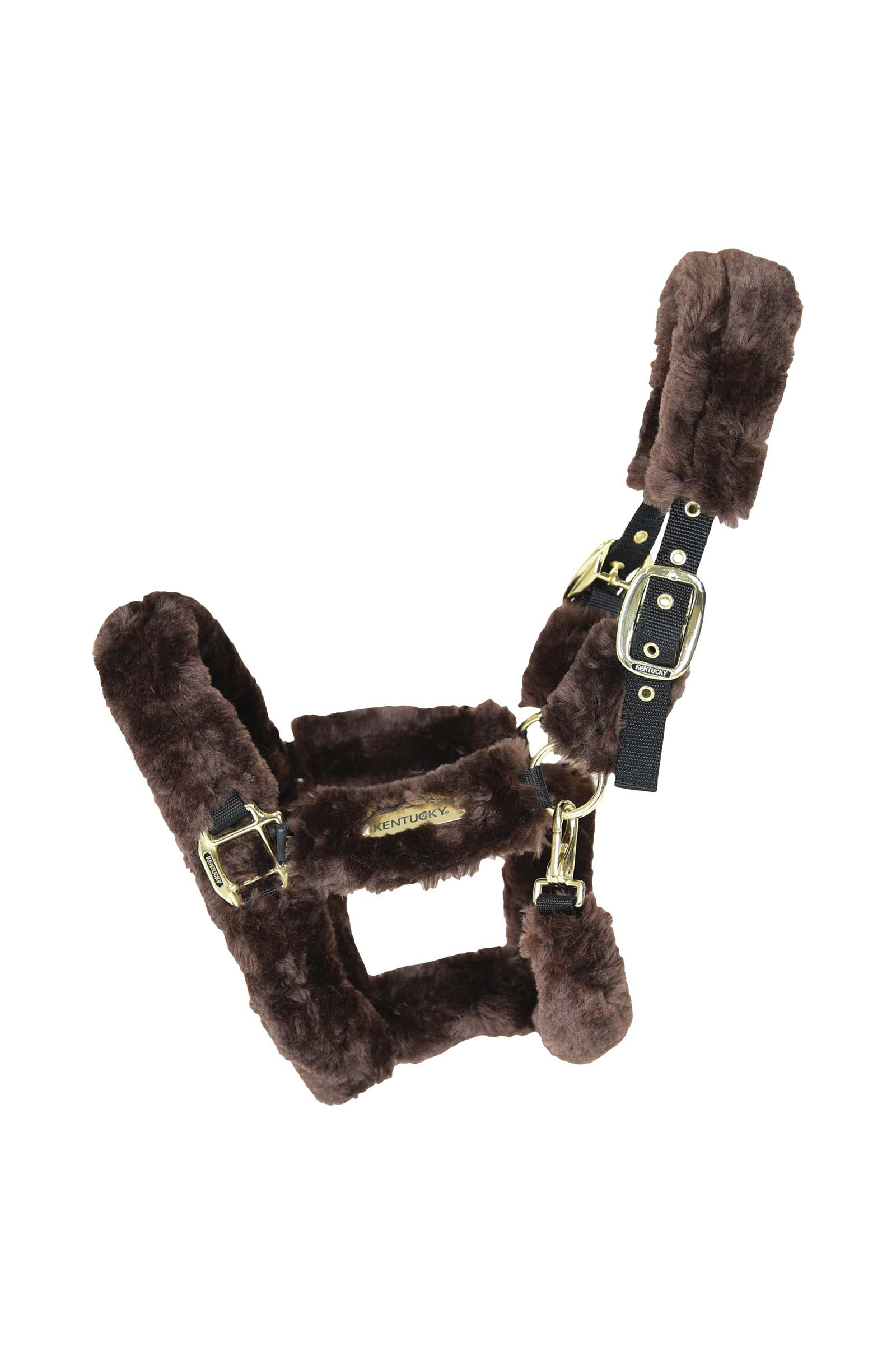 Brown Kentucky Horsewear licol doublé mouton pour transportage