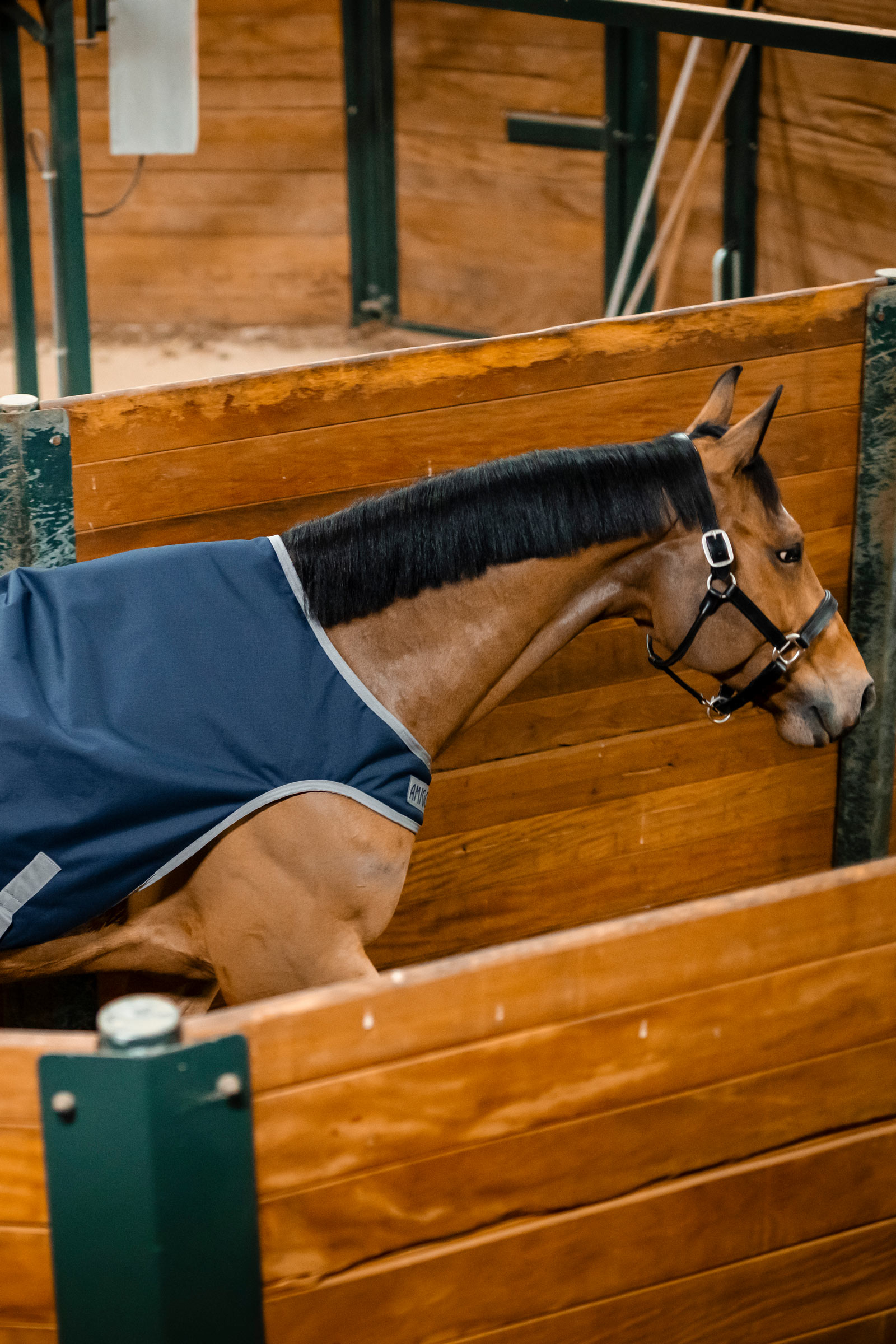 Horseware Amigo Ripstop 900D Walker couverture, 100 g