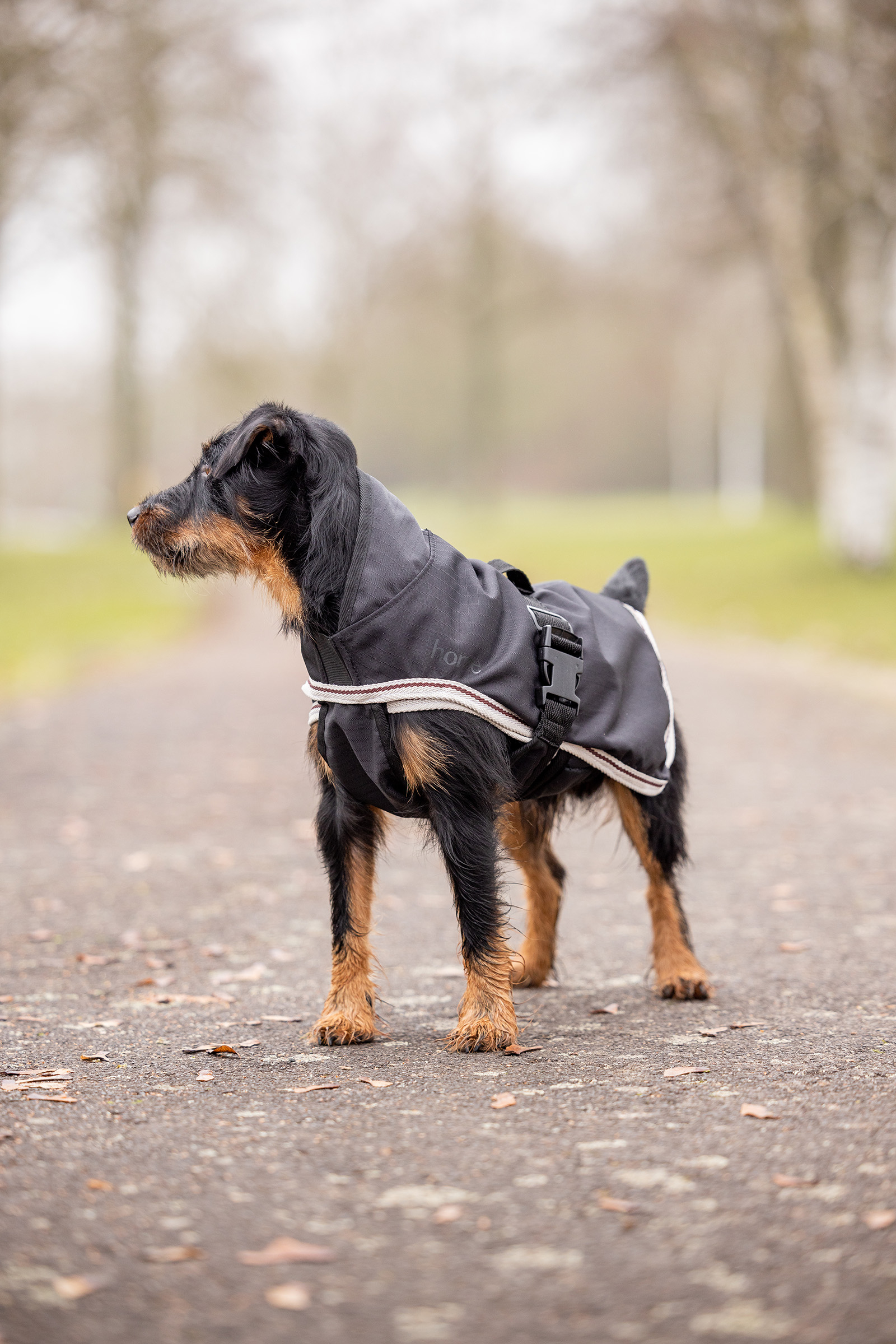 Couverture pour chien Horze Sudbury 2 en 1, 0 g, 100 g