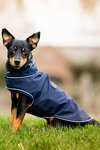 Manteau de pluie pour chien Horseware Signature