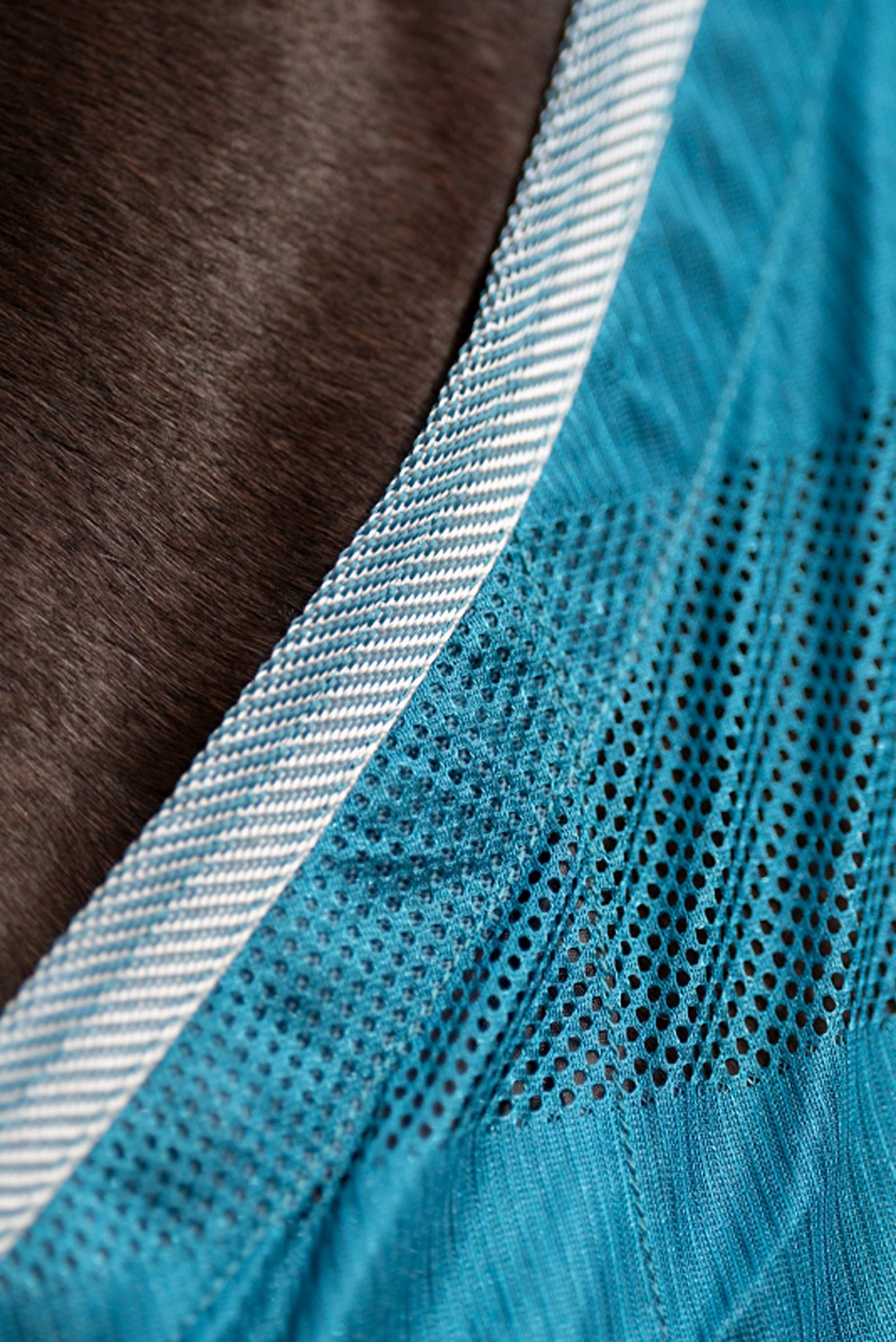 Couverture anti-mouches rayures