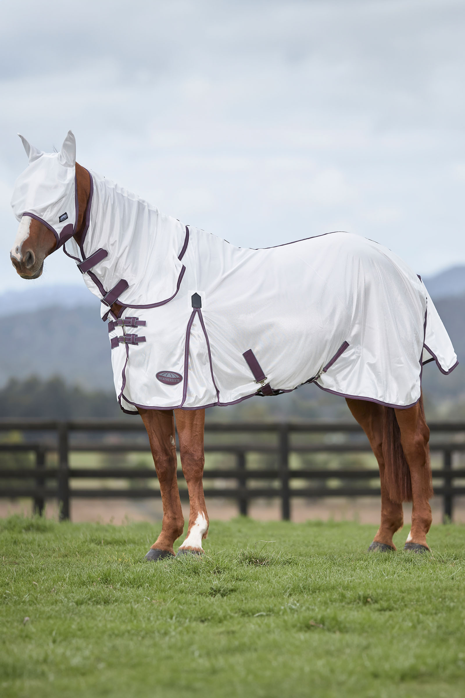 Weatherbeeta Comfitec Essential masque en mesh