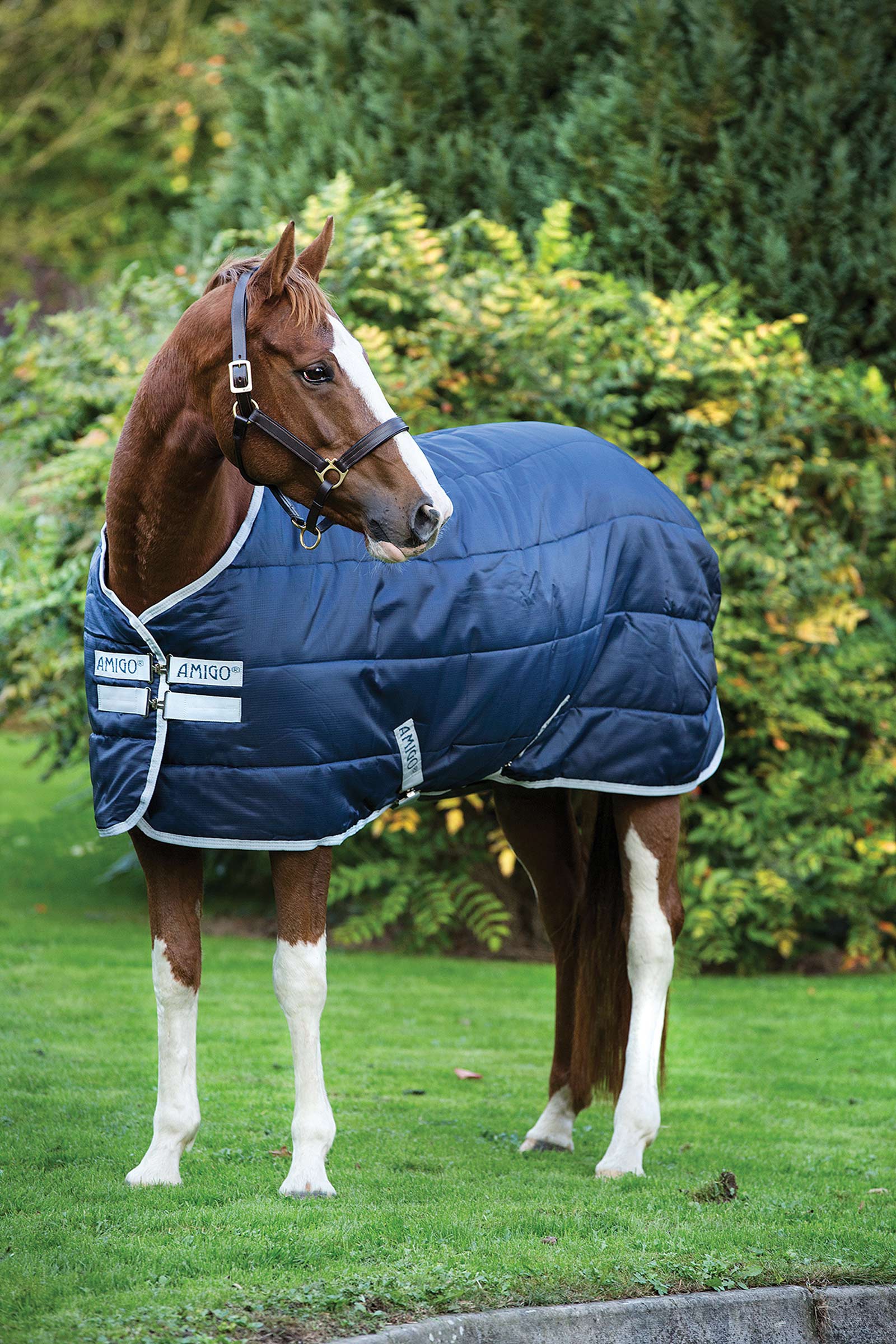 Horseware Amigo Insulator couverture écurie, 200g
