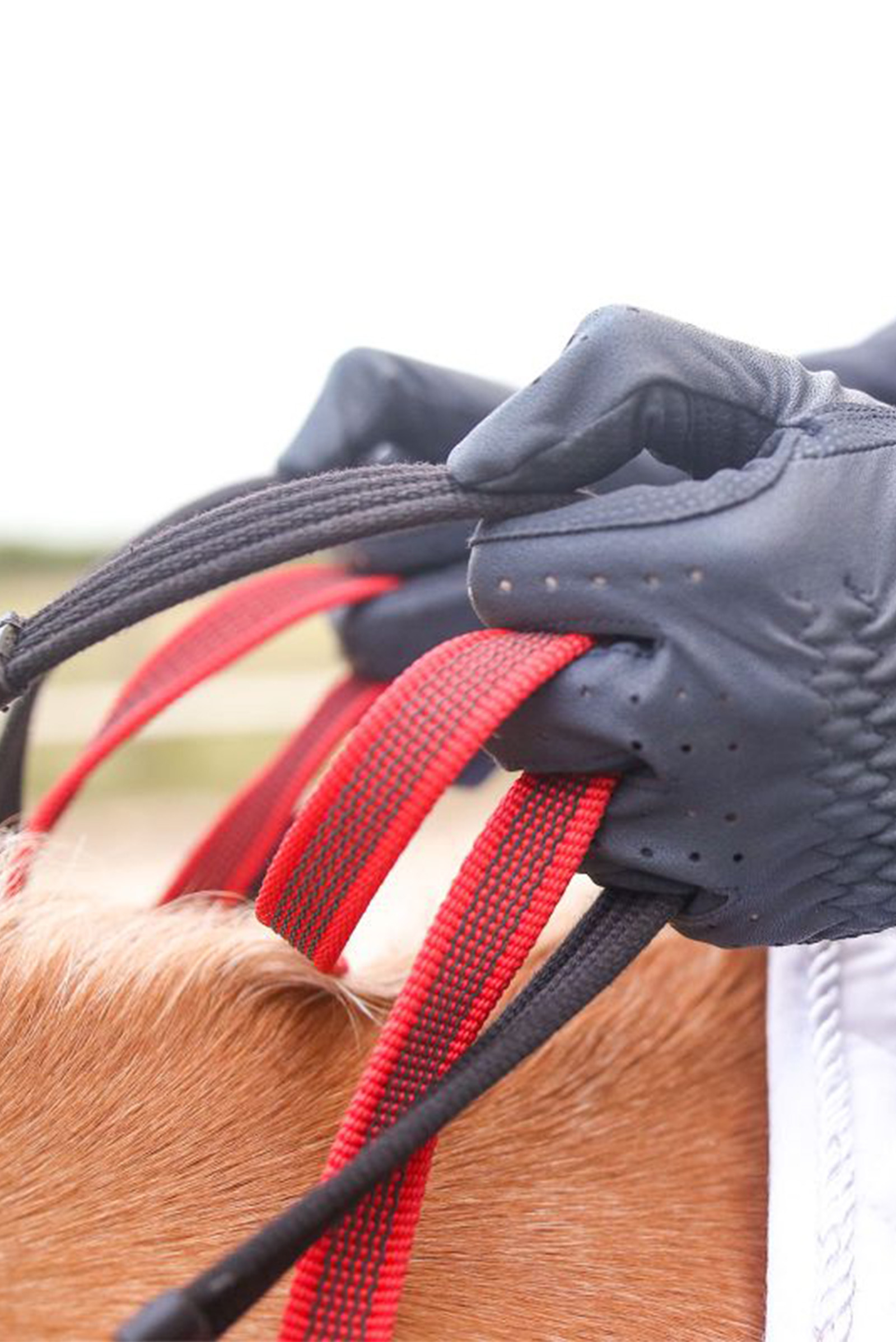 Plastron Waldhausen Secutrust avec rênes de sécurité