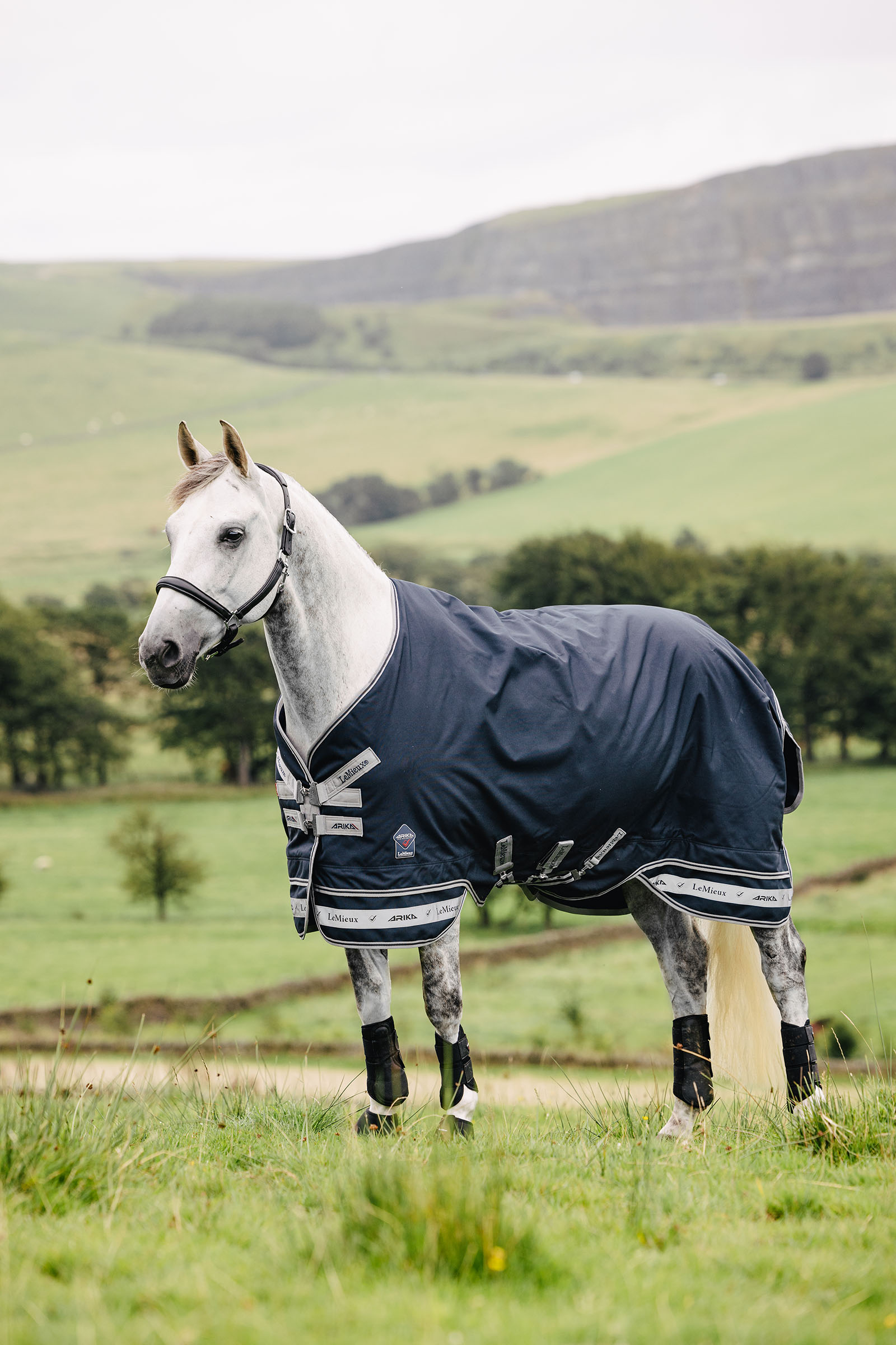 LeMieux Arika Storm-Tek couverture 50g